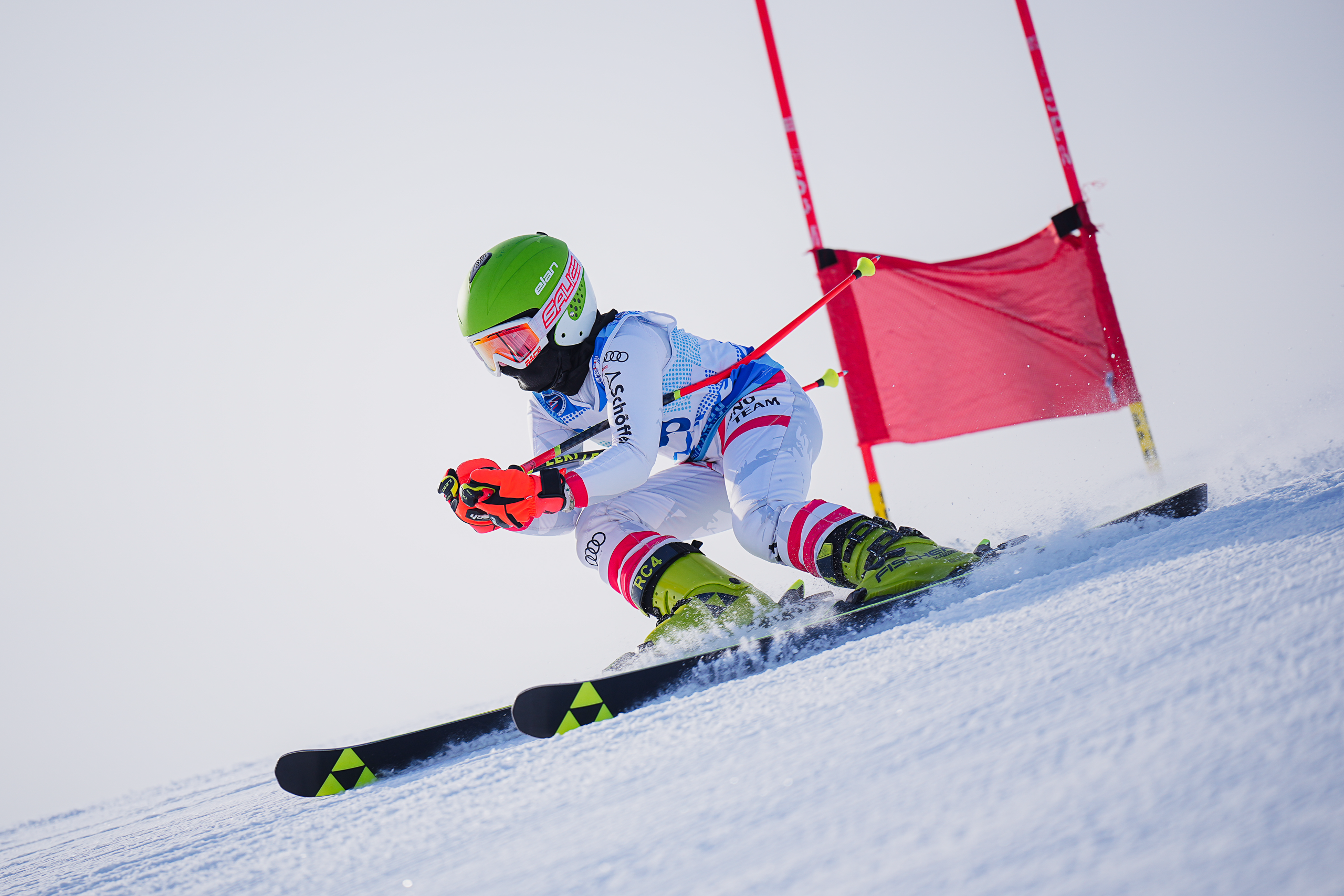 GS (Giant Slalom) - Слалом-гигант. Соревнования по горнолыжному спорту. Московская область, Шуколово