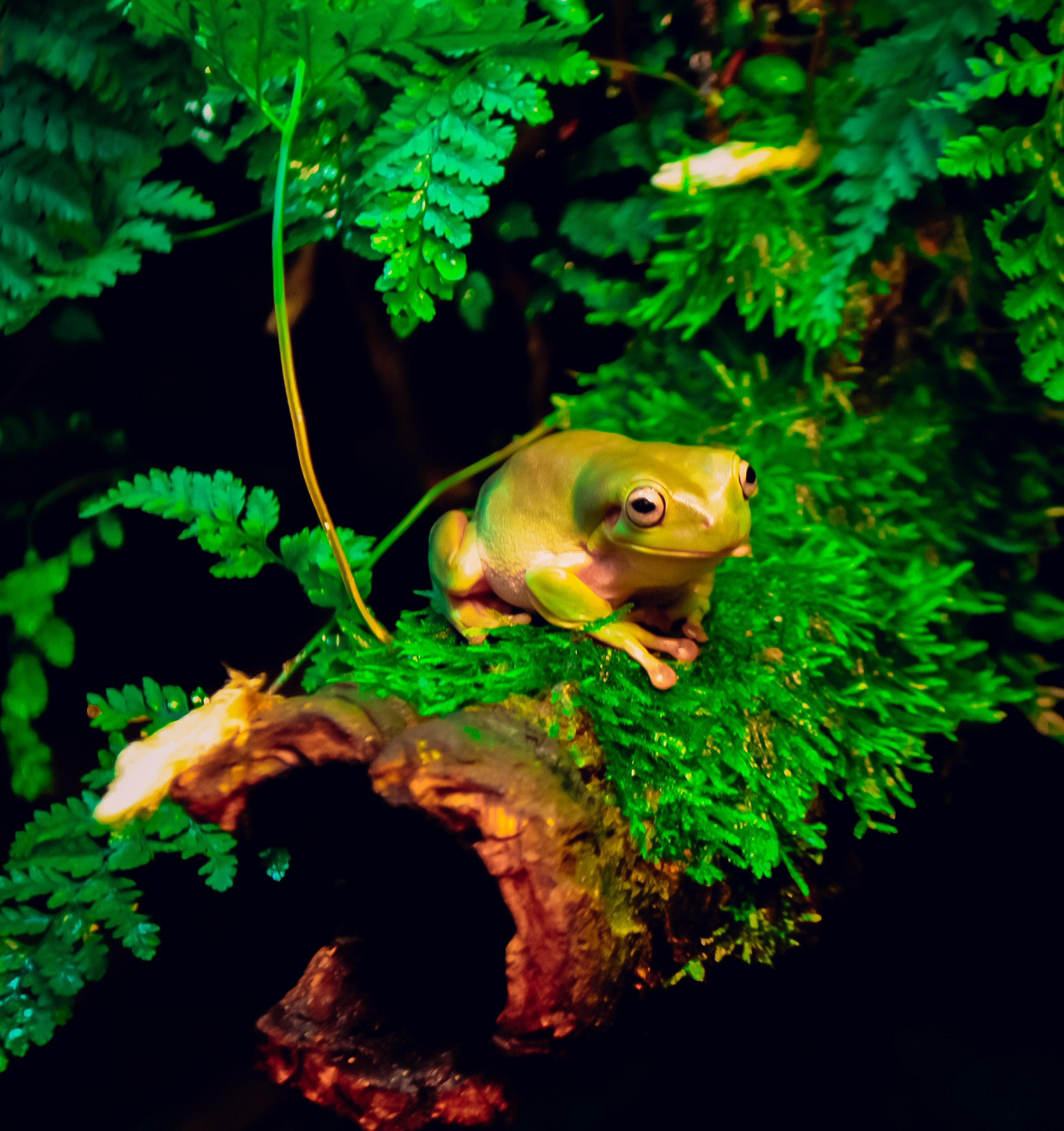 Аквапарк. Портретный фотограф DanilNabody