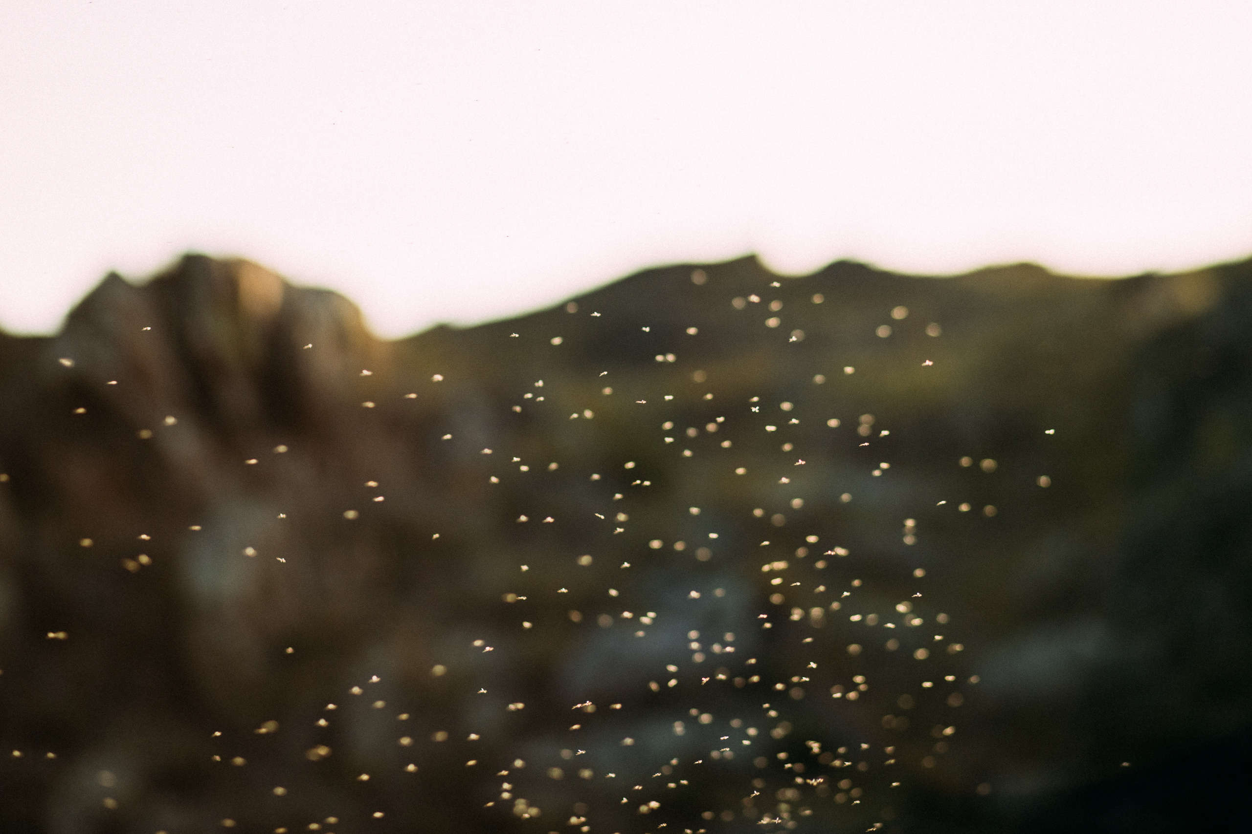 Випассана Игоря Будникова. Фотограф Ольхон/ Индия, Регина