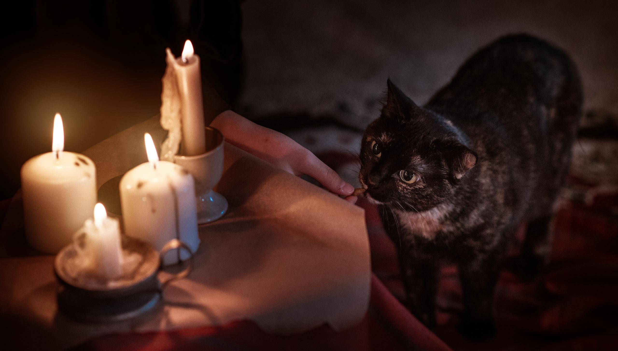 Творческие съемки. Фотограф в Алматы Новгородская Мария