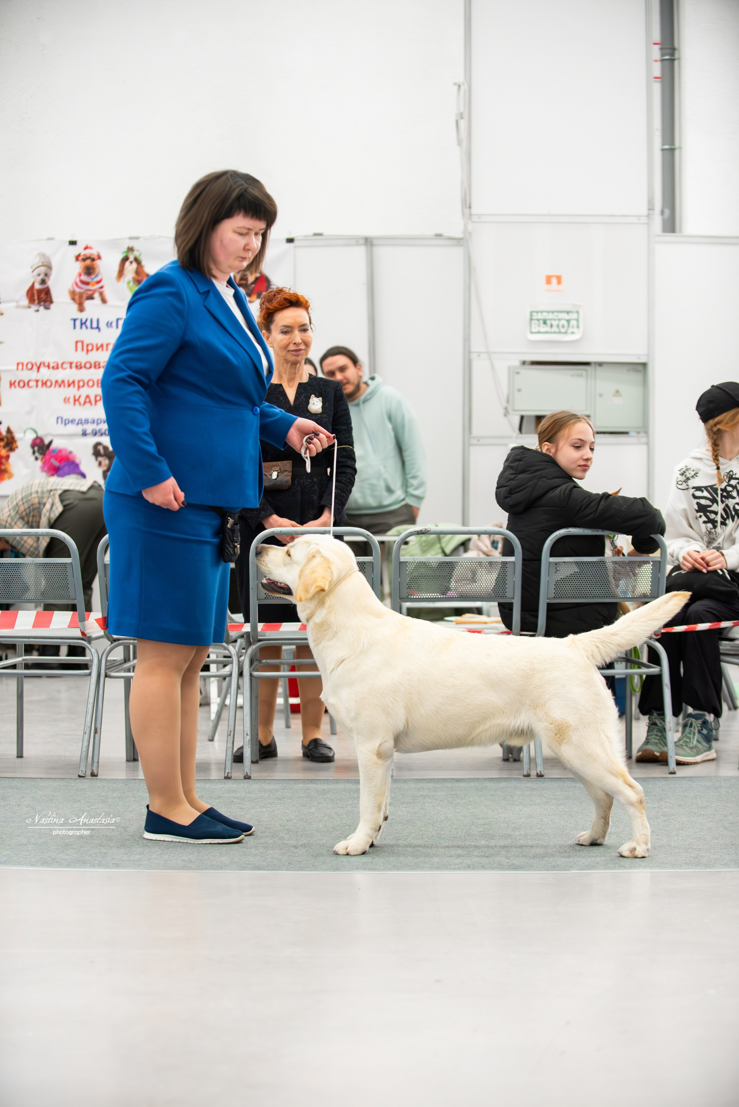 Выставки. Фотограф — Анималист