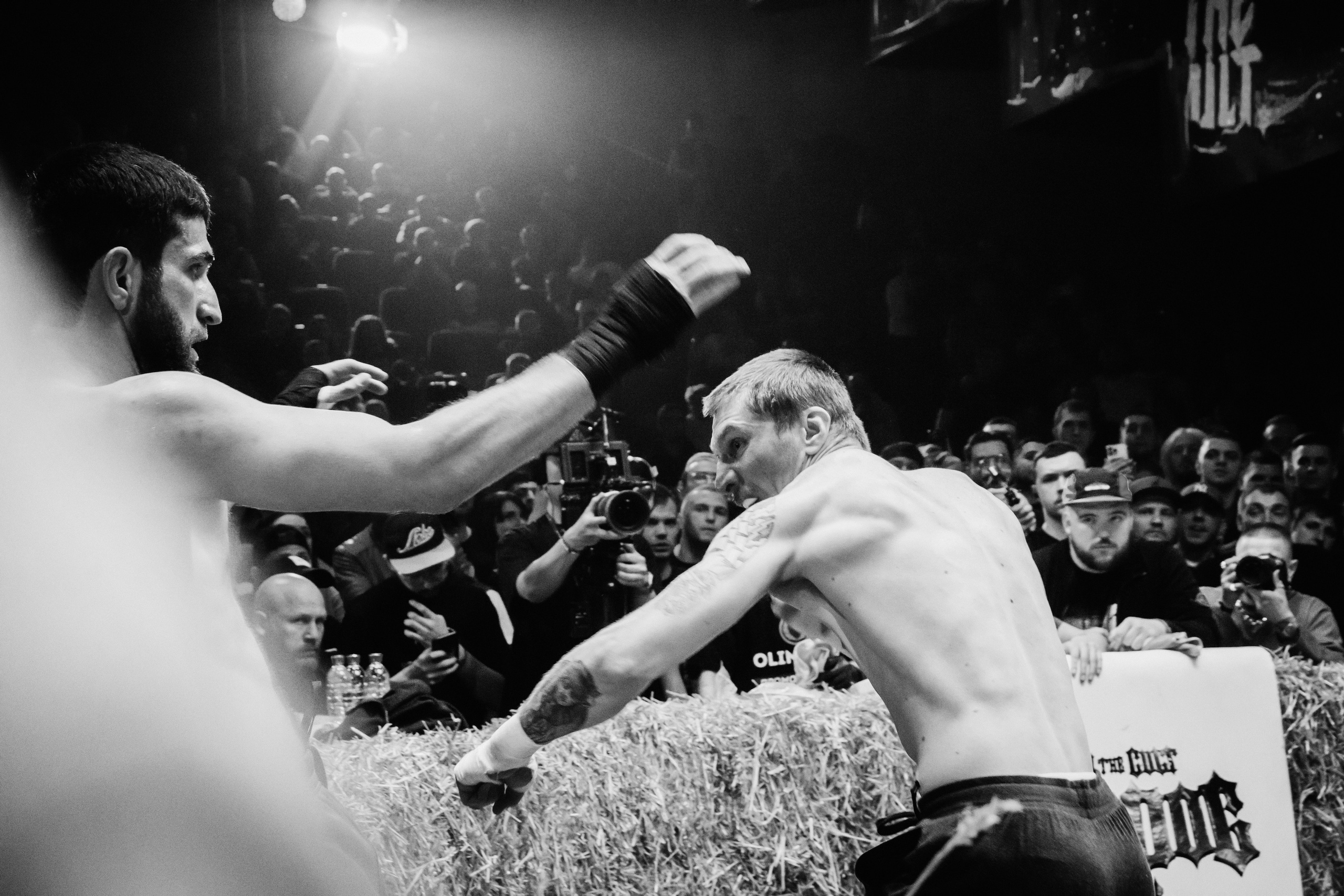 Кулачные бои TopDog. Анастасия Тен