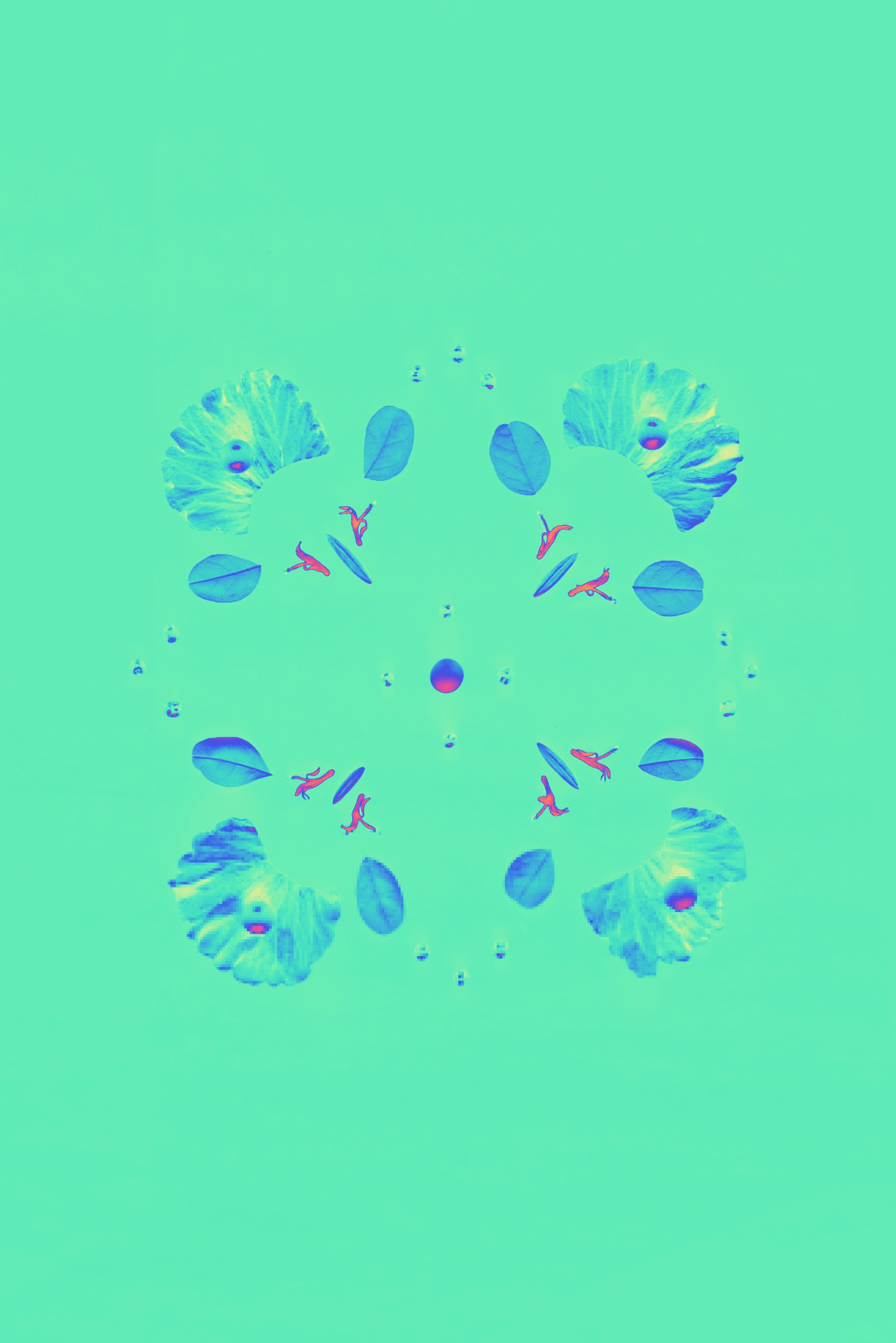 LAYER OF PETALS. Сocoobird || Атмосфера твоего бренда в снимках и видео