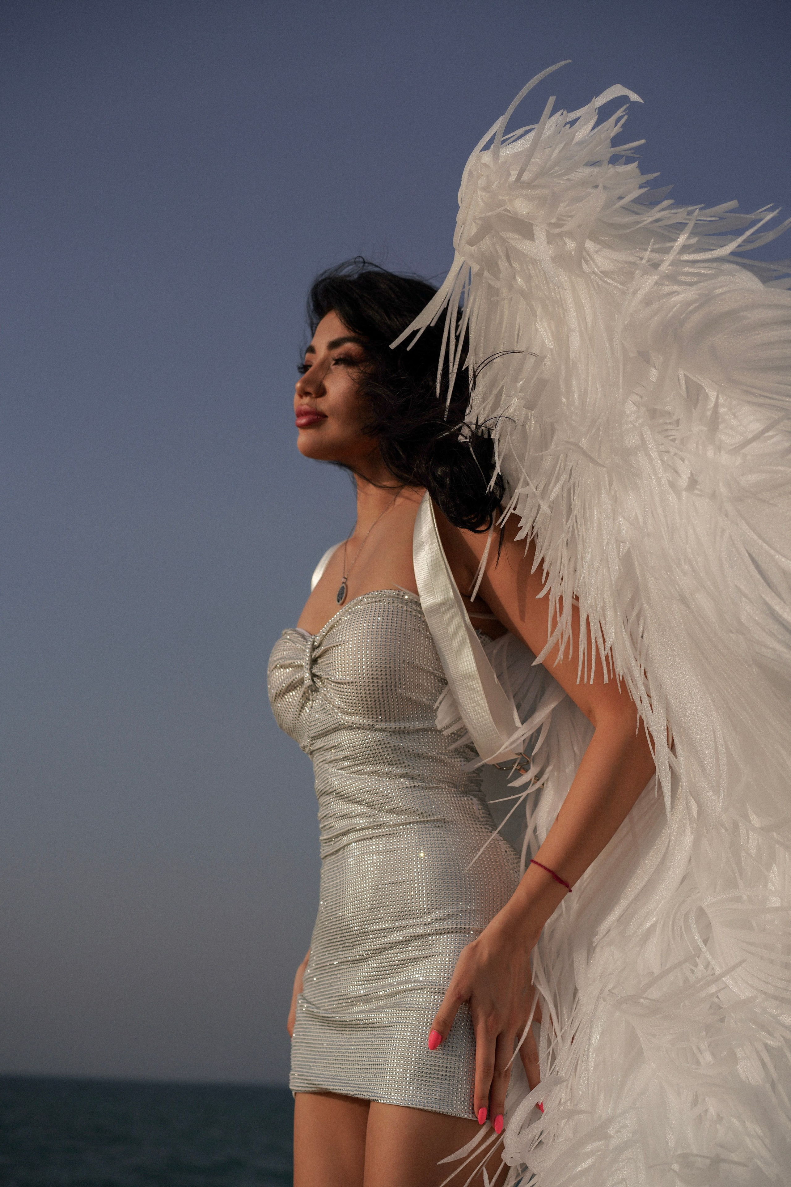 WINGS. Photographer in Dubai