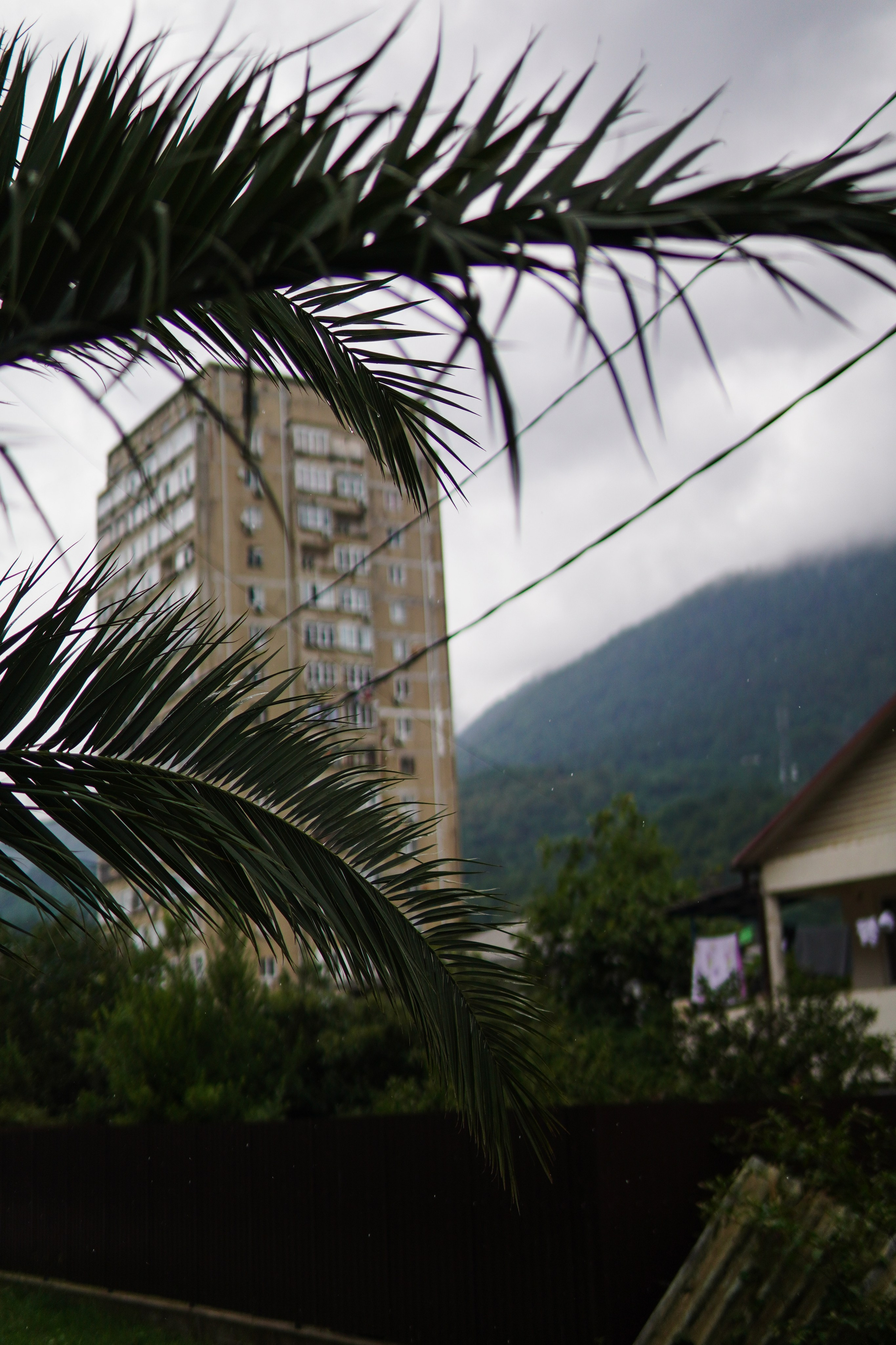 STREET. Фотограф в Санкт-Петербурге Алексей Лиханкин