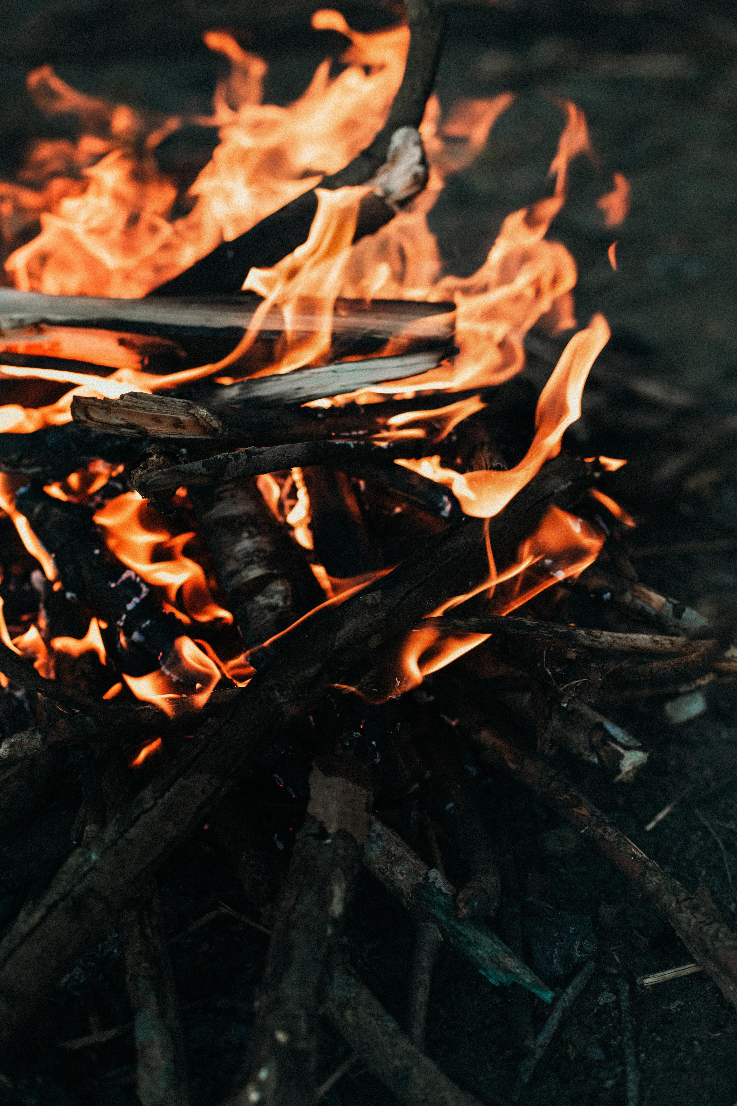 Love. Семейный фотограф в Минске и РБ Стеликова Анна