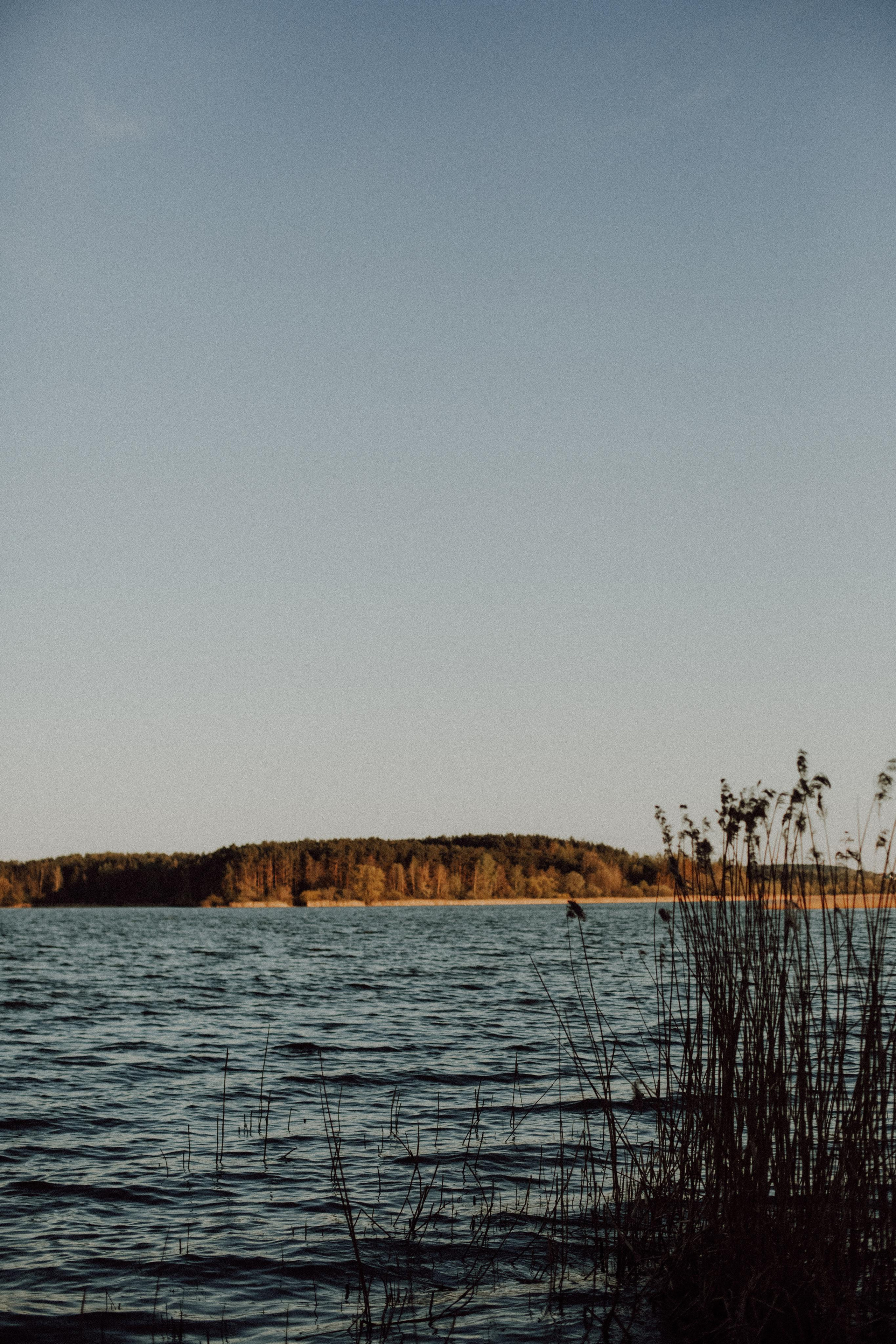 Love. Семейный фотограф в Минске и РБ Стеликова Анна
