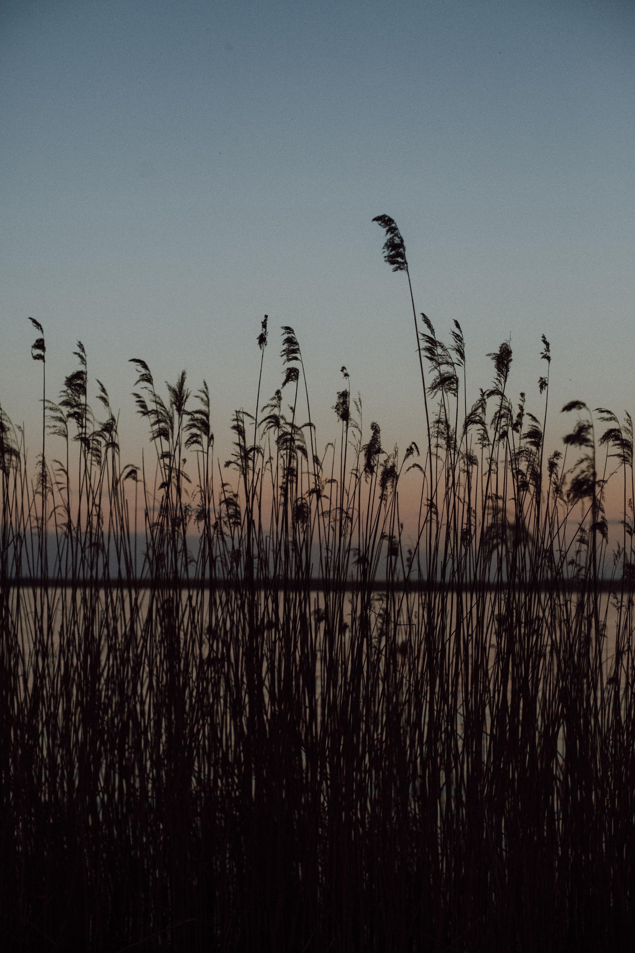 Love. Семейный фотограф в Минске и РБ Стеликова Анна
