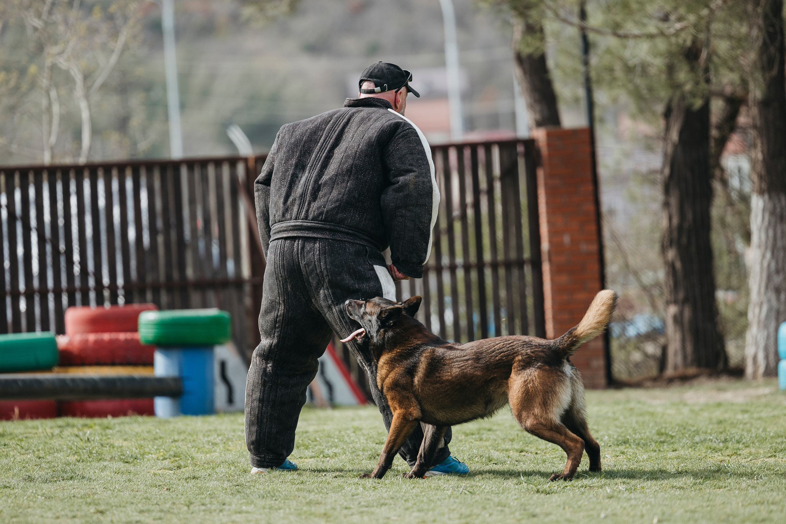 Геленджик Мондьоринг. Фотограф-анималист Анна Маринич