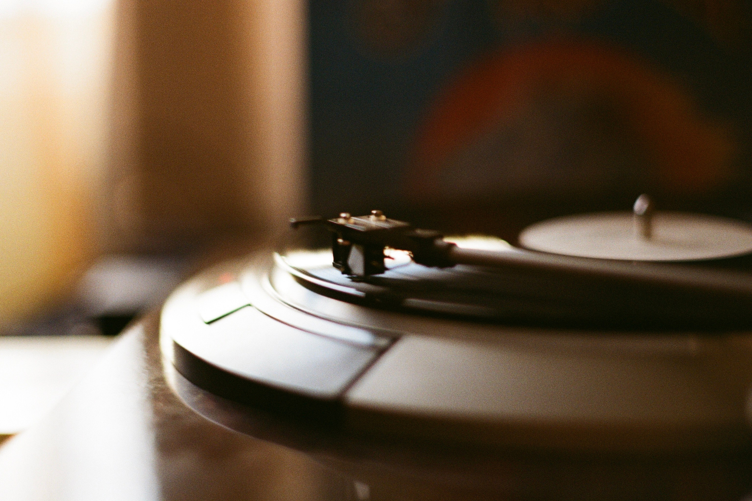 Автор: Анастасия Пиганова