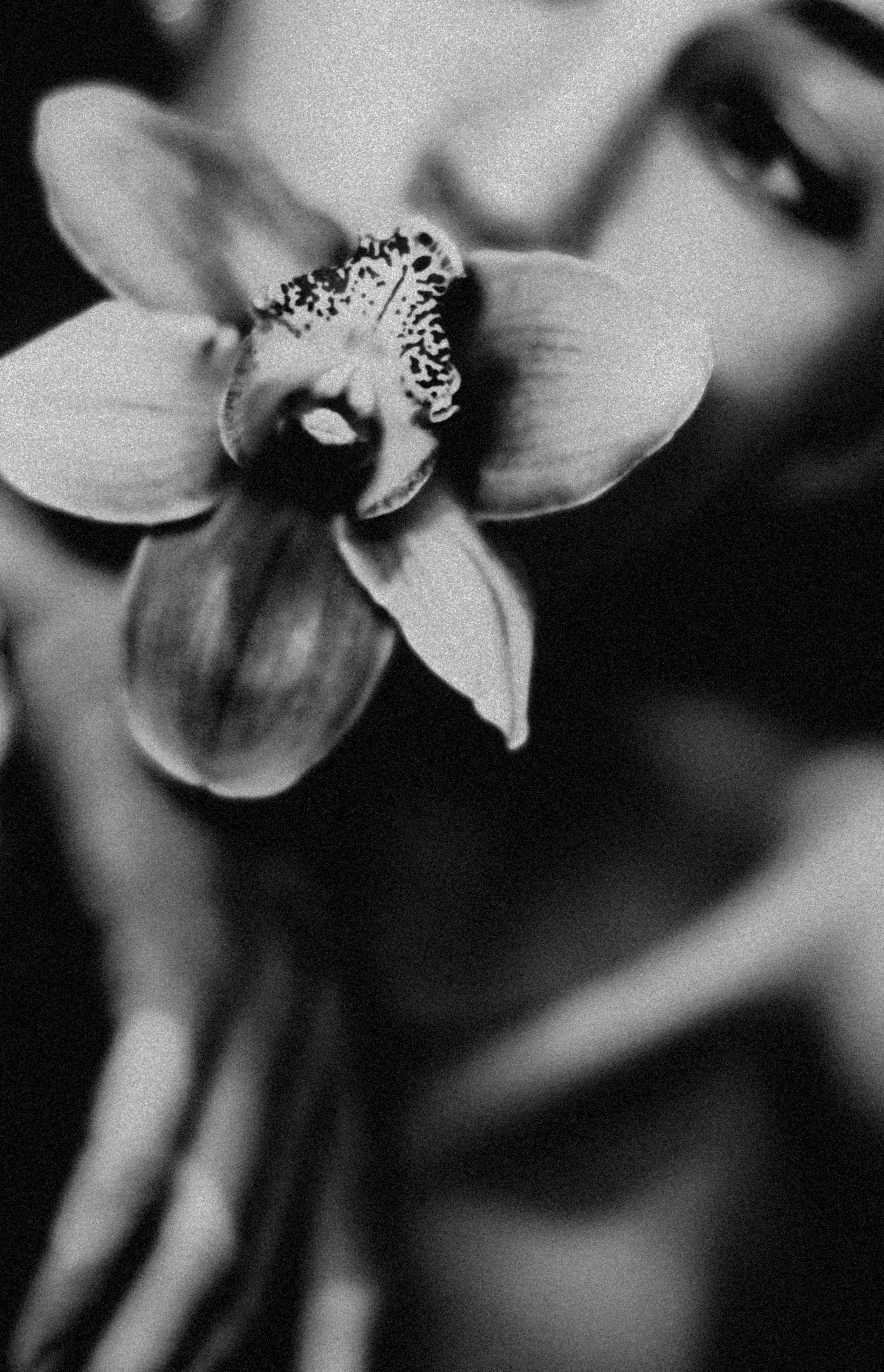 Галерея. С ⁐ Ф Ь Я визуальный артист — фото видео декор графика