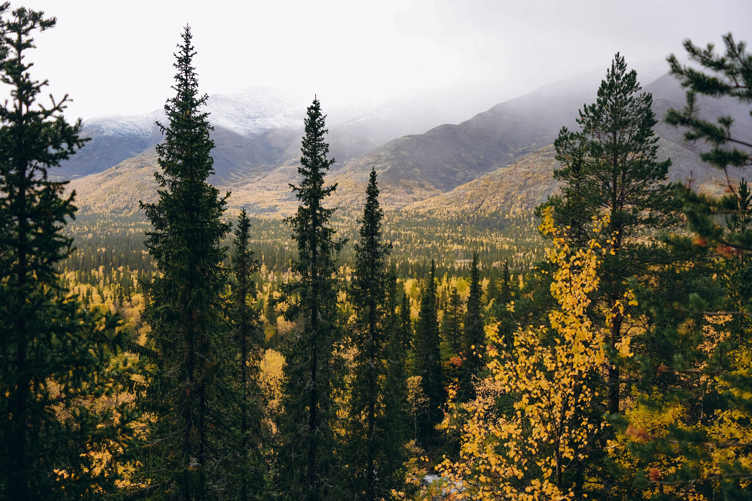 СЕВЕР. Event фотограф Степанова Александра