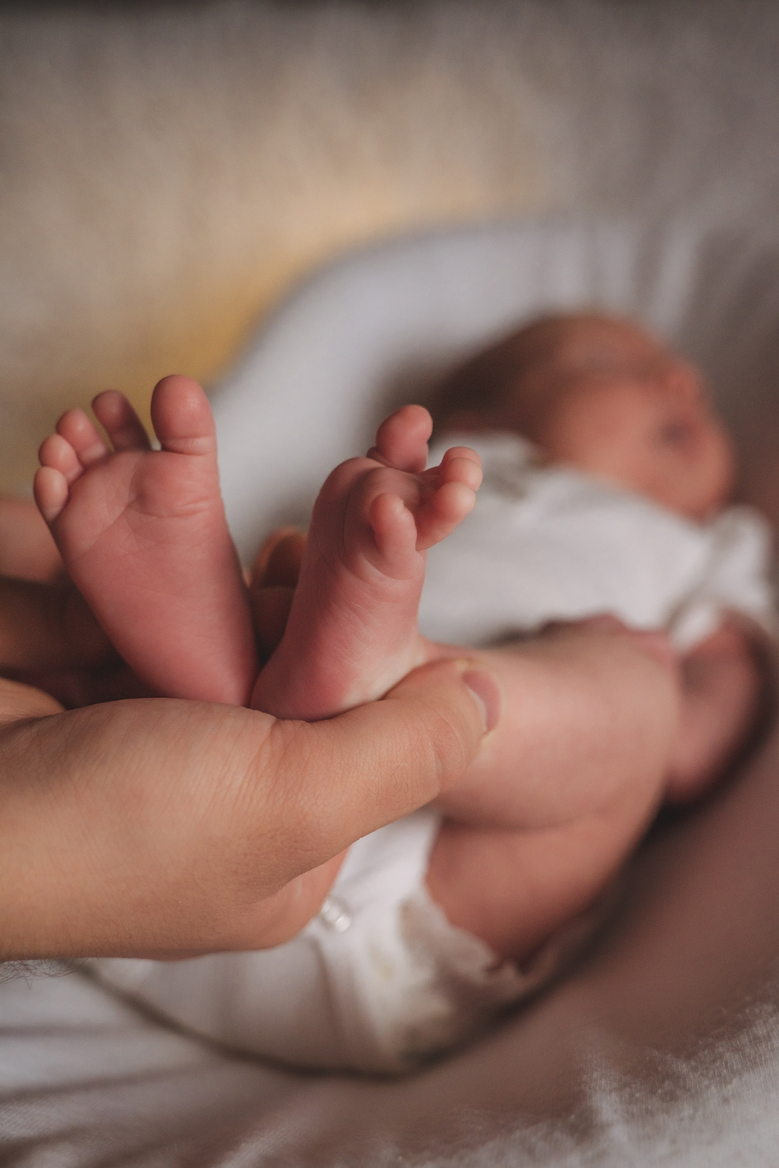 Семья Даниила и Татьяны. Фотограф Новочеркасск Ольга Мальцева