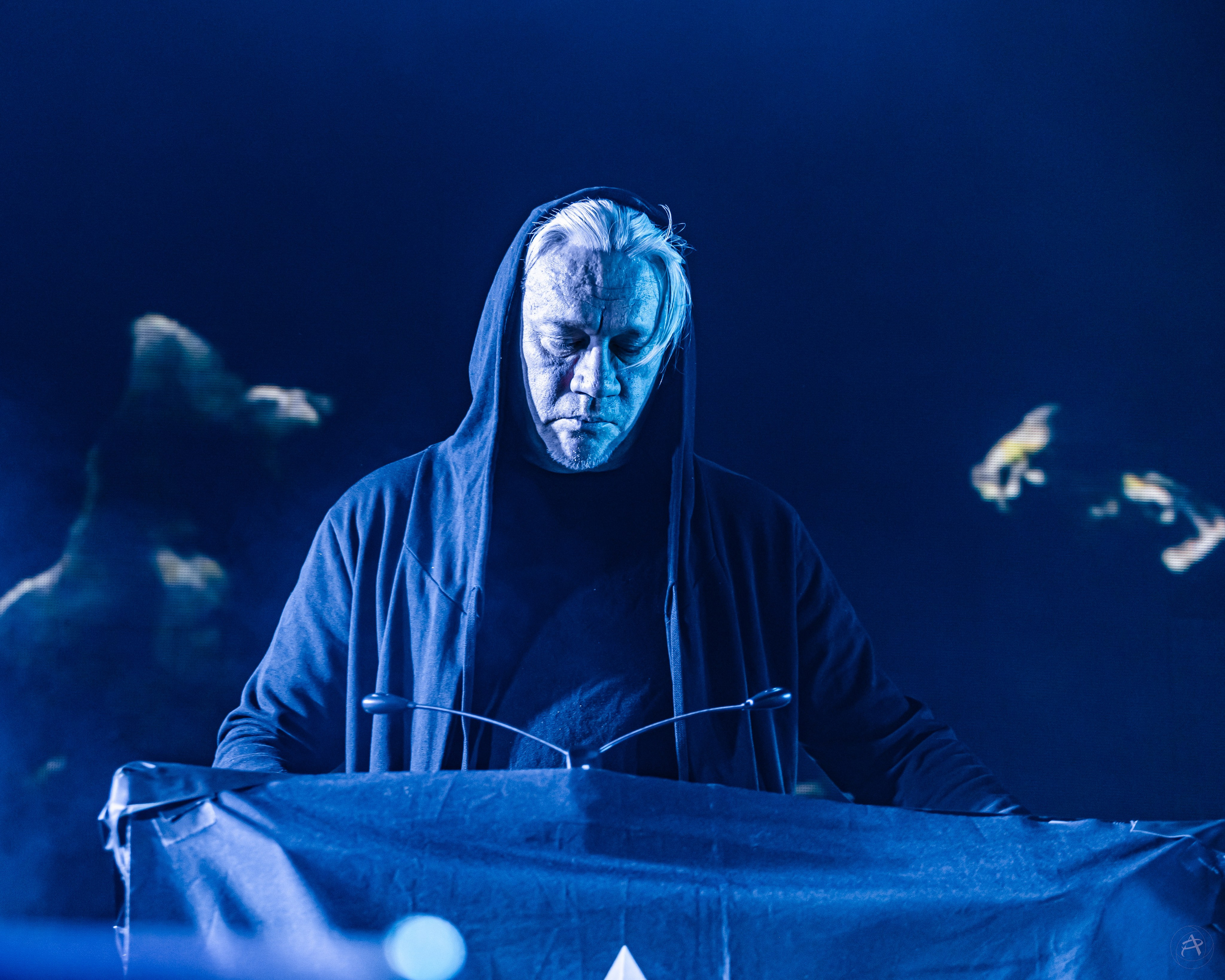 Северный Флот. BASE Club (Москва). Концертный фотограф Аля Рашпиль