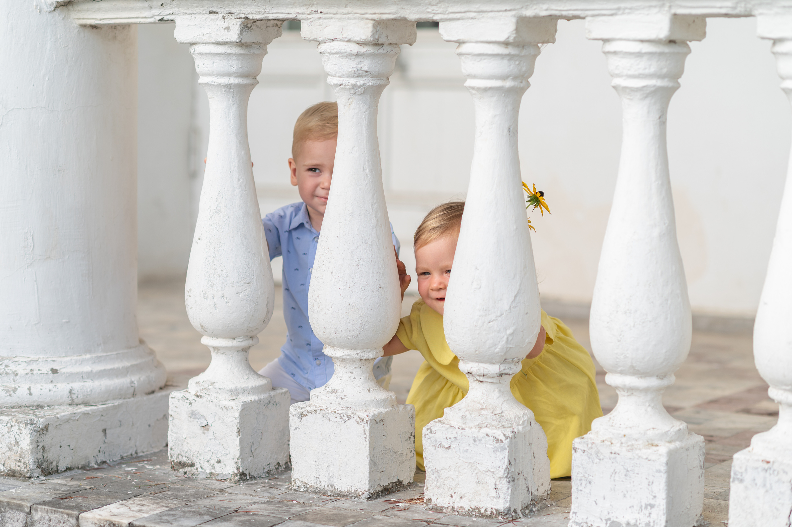 Раз ромашка, два ромашка…. Детский фотограф Абхазия