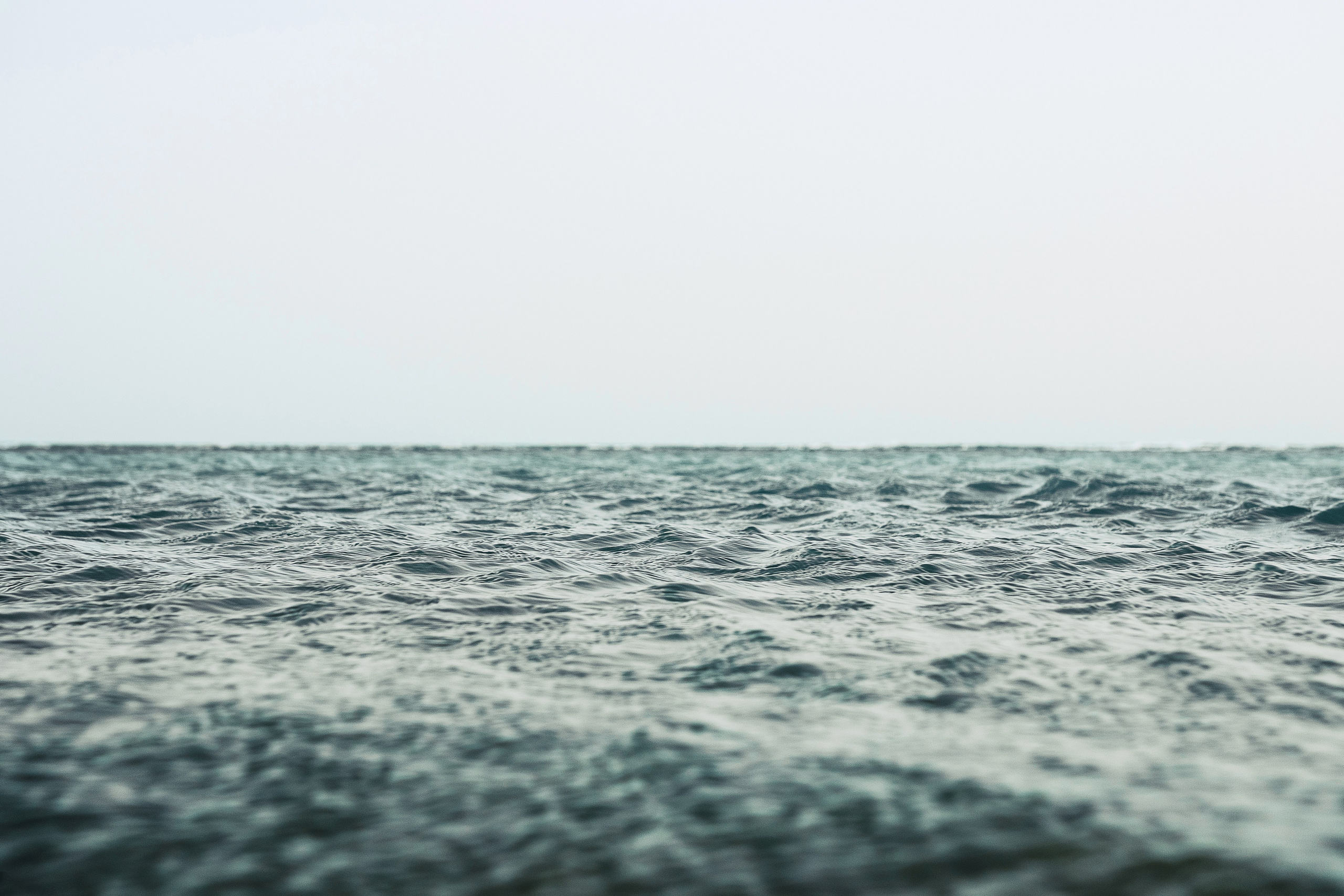 Жизнь. Фотограф Алматы | Весь мир — Никита Колодин