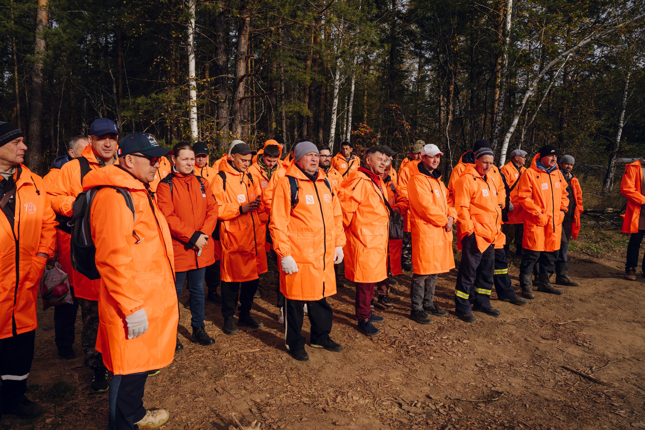 Дневные события. Geometria