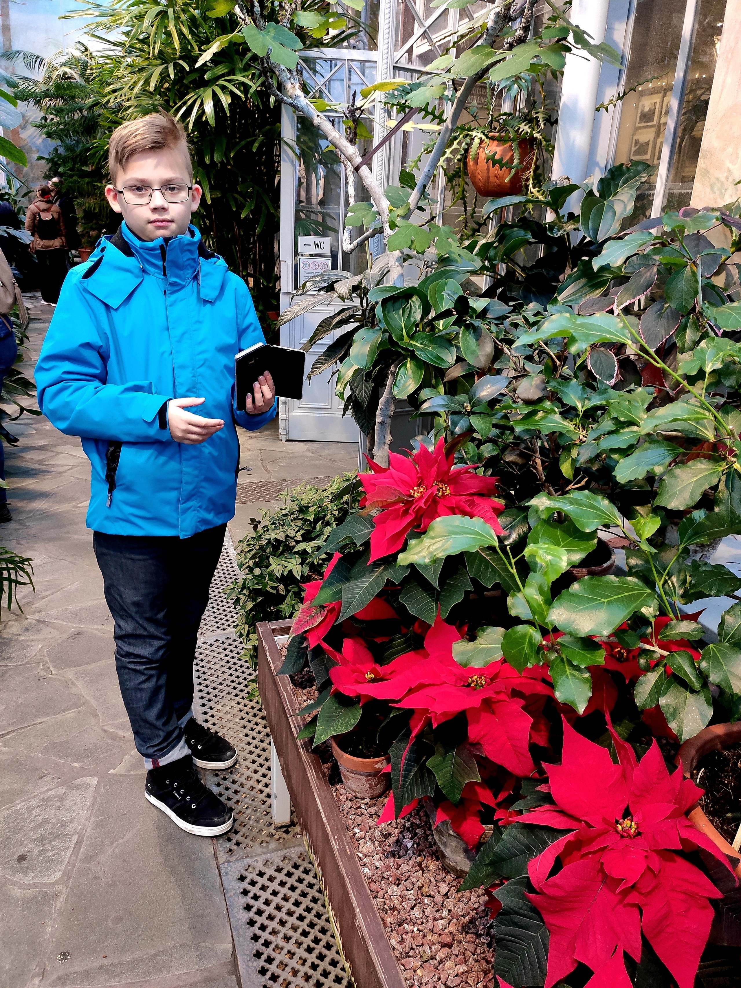 Рождественские цветы здесь более ожидаемы