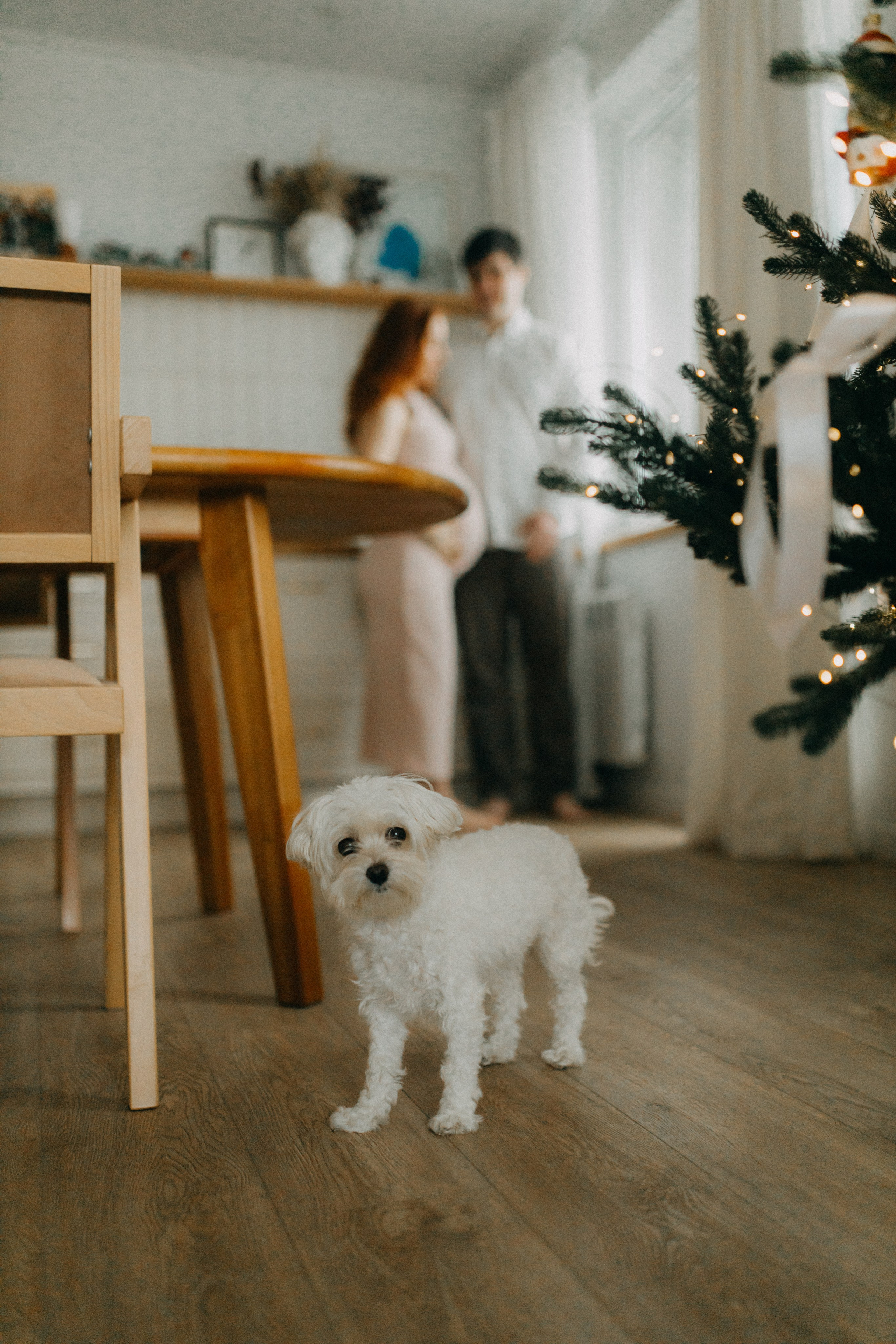 Алана & Альфред. Беременность. Фотограф НОГИНСК, Москва, Анастасия Белая