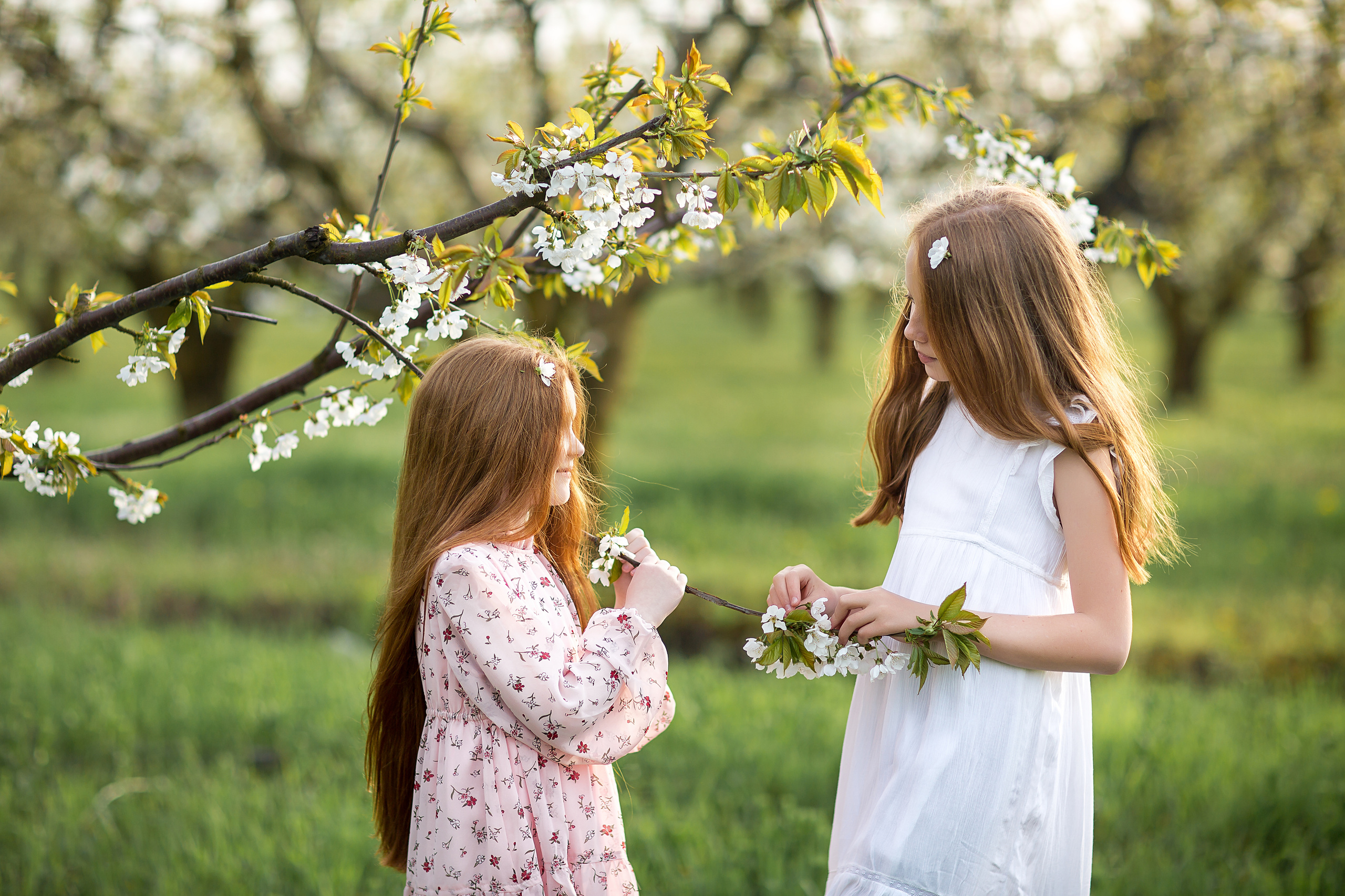 Весенний сад. Свадебный и семейный фотограф/видеограф в Краснодаре Наталья Осинская