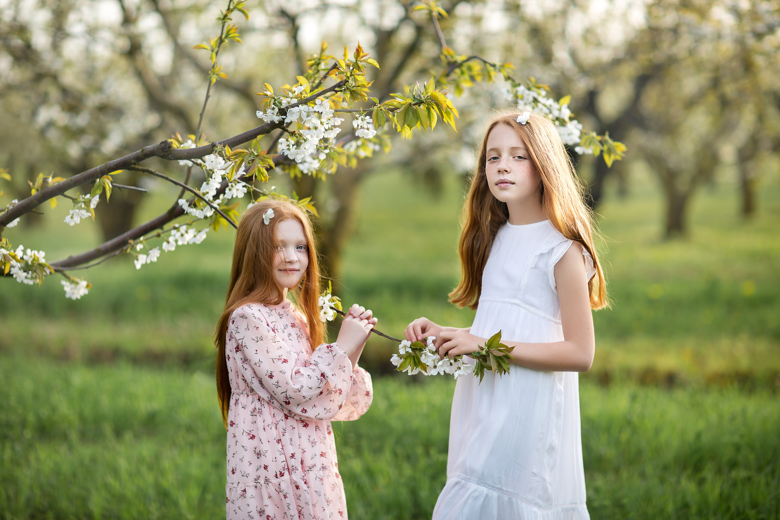 Весенний сад. Свадебный и семейный фотограф/видеограф в Краснодаре Наталья Осинская