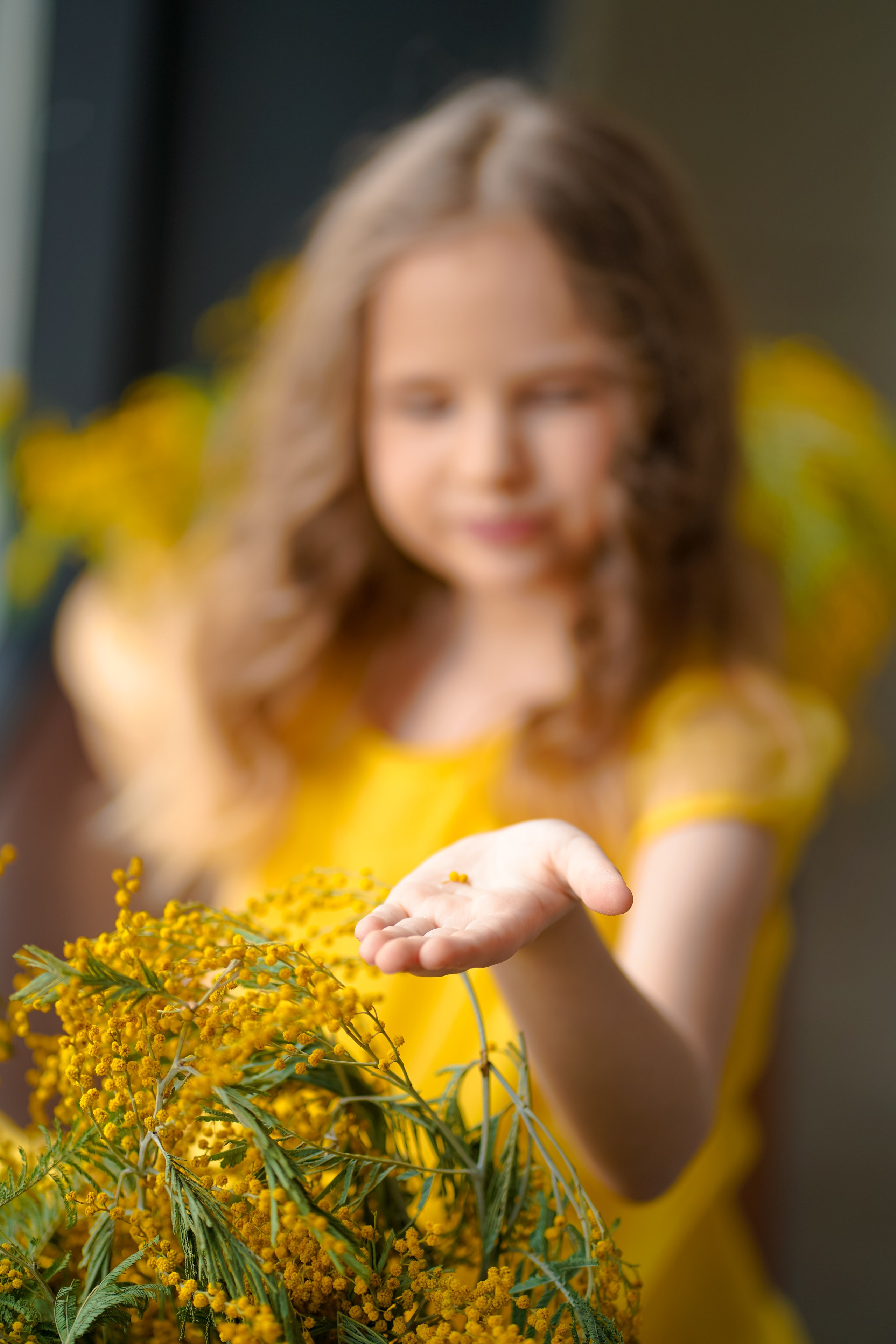 Мимоза. Фотограф Татьяна Митрофанова