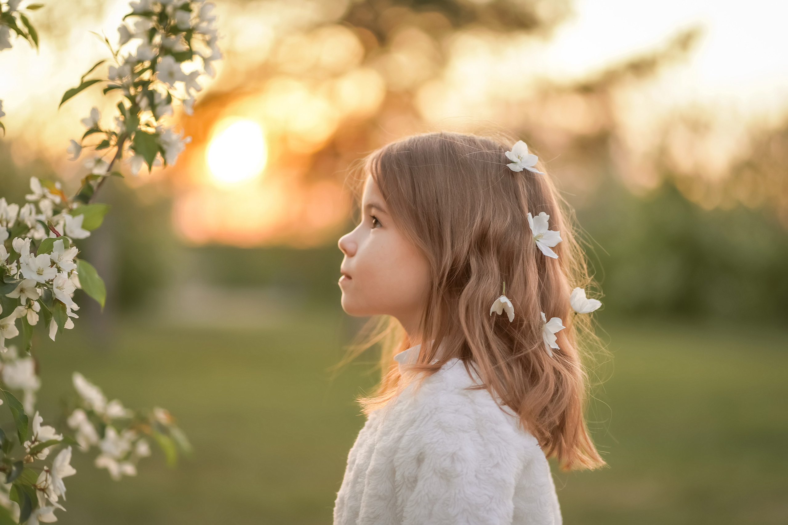 Цветение. Фотограф Татьяна Митрофанова