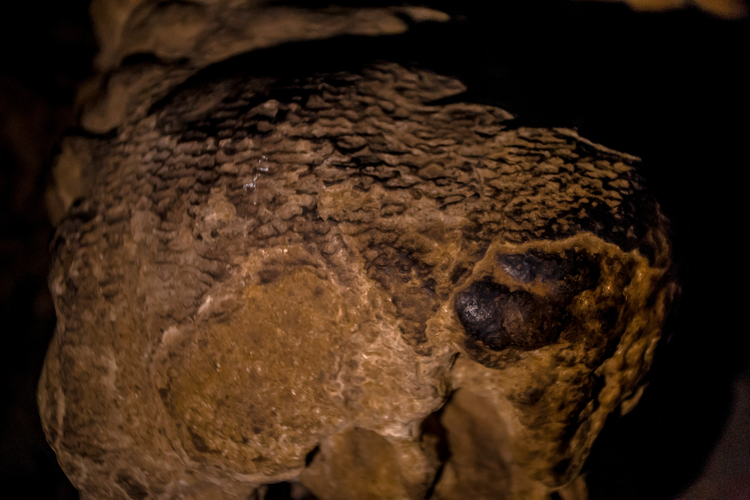 Andaman Islands, Part2. Art Photographer