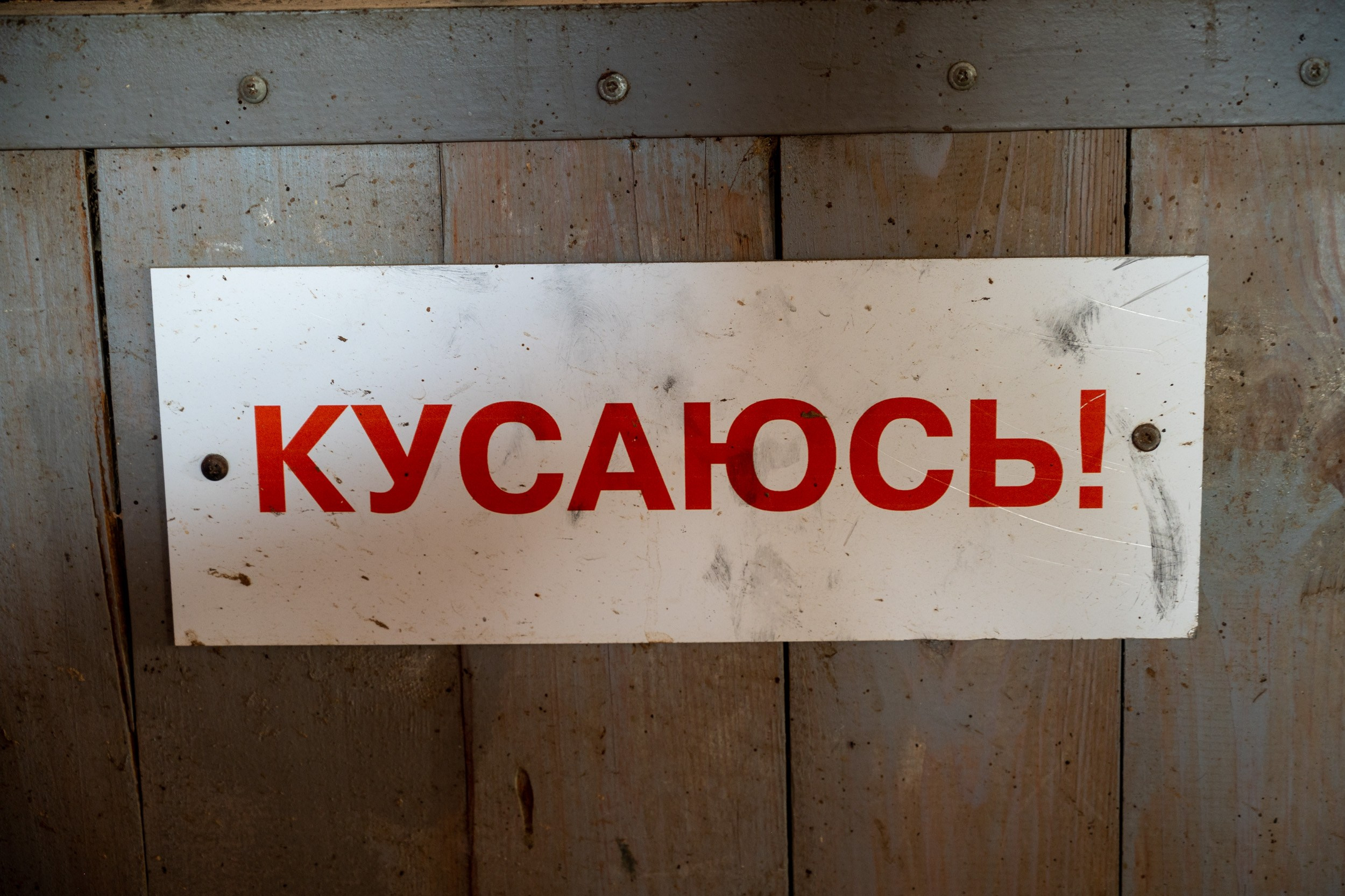 Ферма «ЭКЗАРХО» 03.10.2024 г. Фотографирую счастливых людей в Сочи