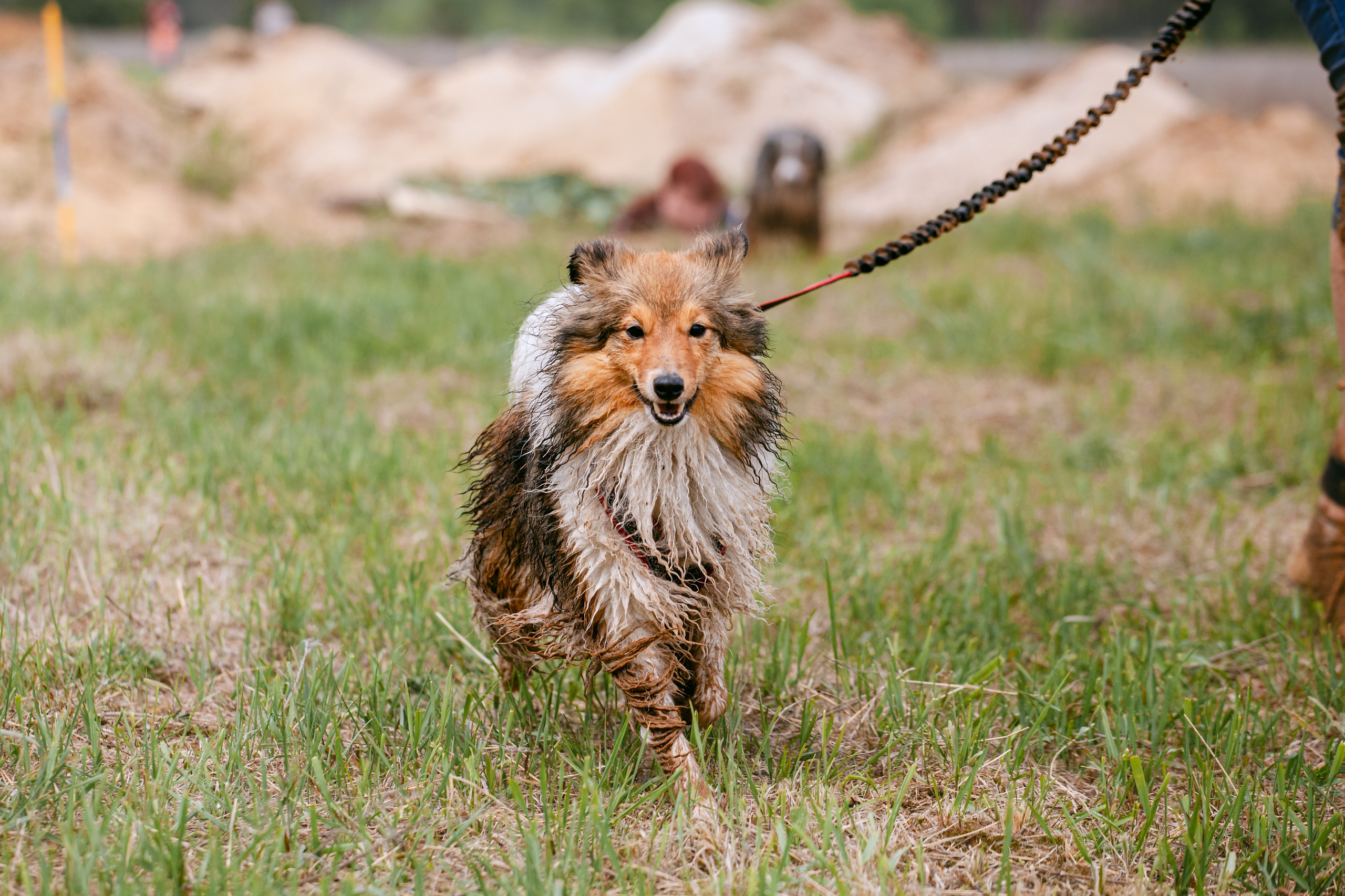 Русский экстрим кросс в Рязанской области 17.05.2025. Фотограф-анималист Татьяна Степанова