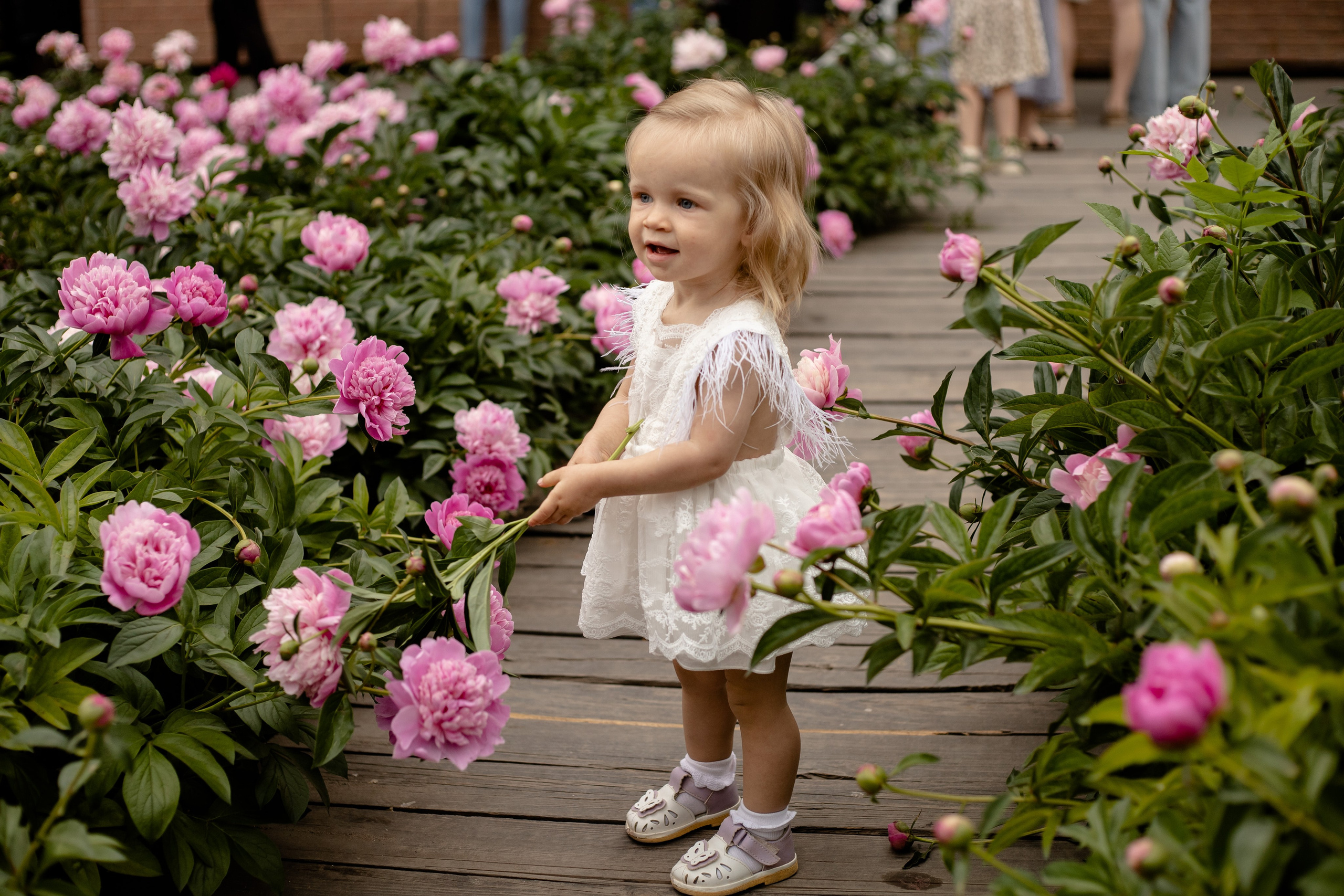 Пионовая история с Евой🌸. Семейный фотограф в Саратове Элоиза Ляпина