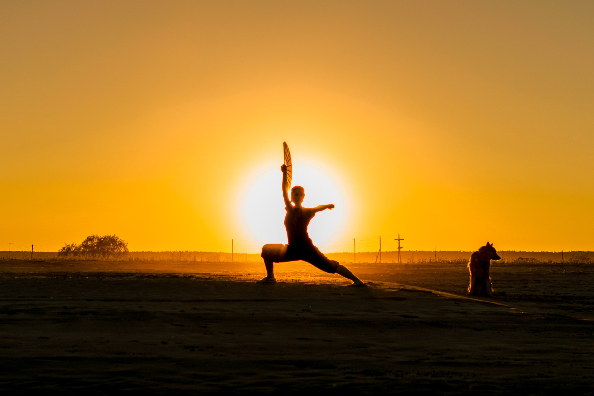 Сборы по гунфу Шаолиня в Петяярви 22–24 мая 2026 года. Лилия Гоца. Гунфу Шаолинь. Арт-фотография. Ретриты