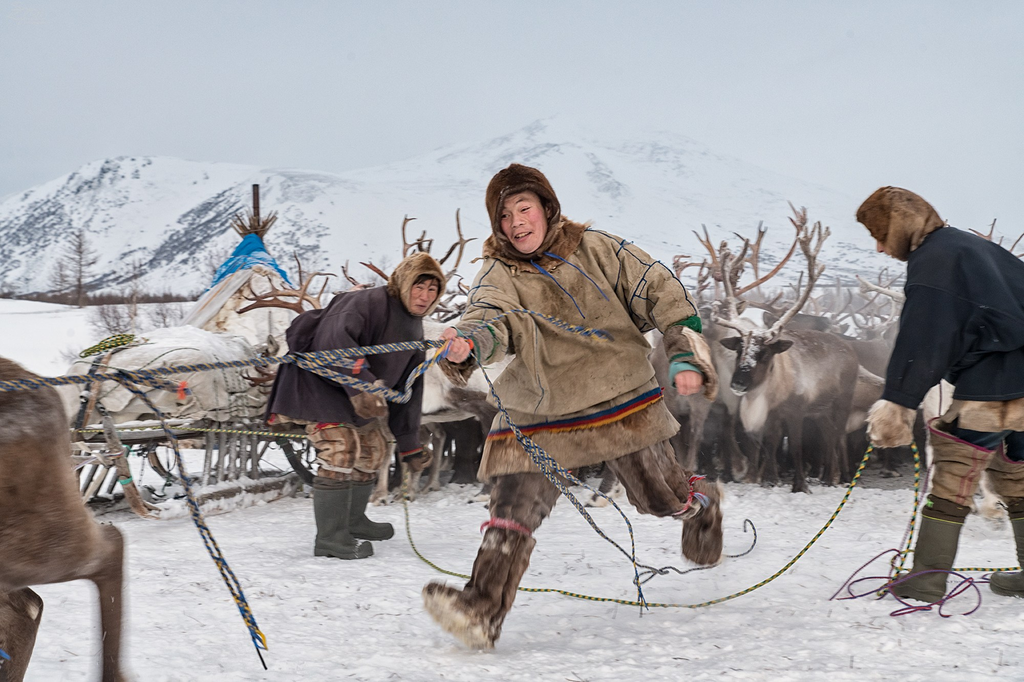 Фототур к ненцам-оленеводам Ямала