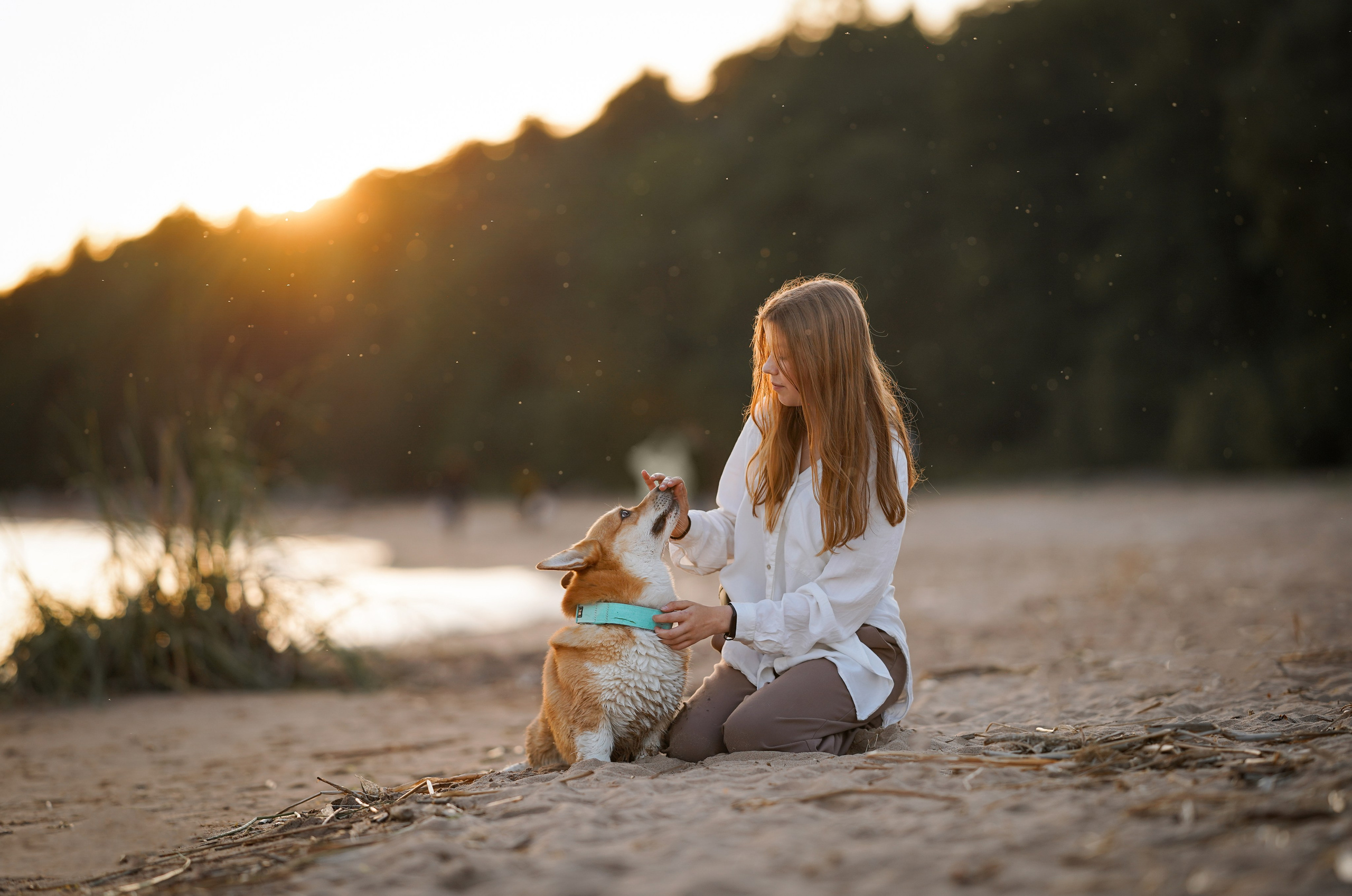 Катя Алиса и коржики. Фотограф-анималист в Санкт-Петербурге Яна Мартынова