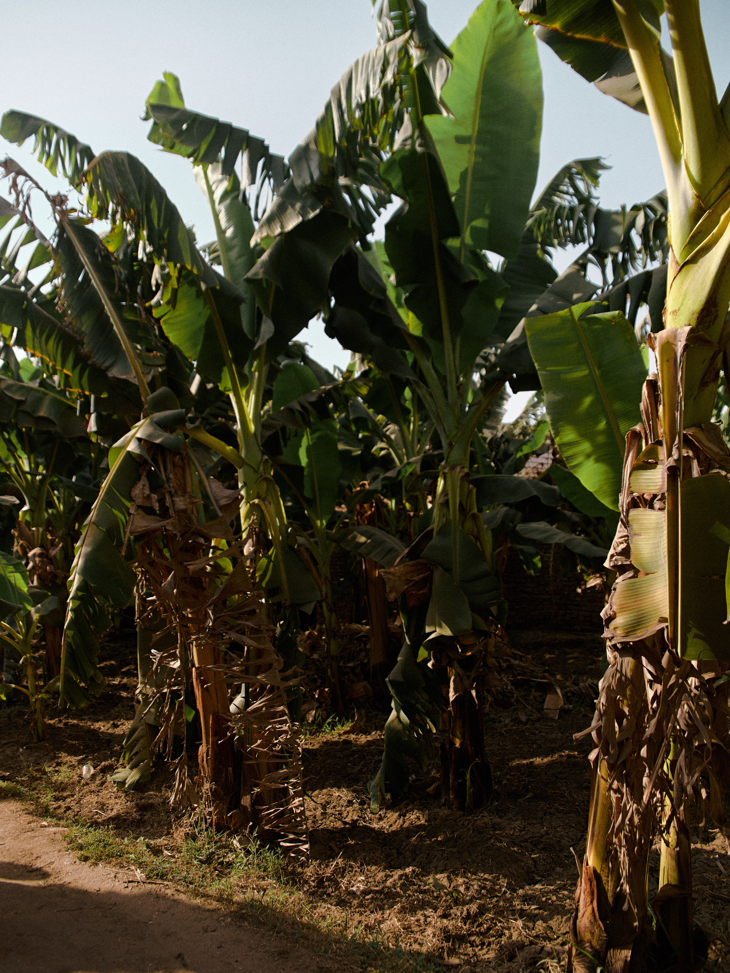 Природа. Jorgis Talè — photographer, kind person, teacher of arts and other mag