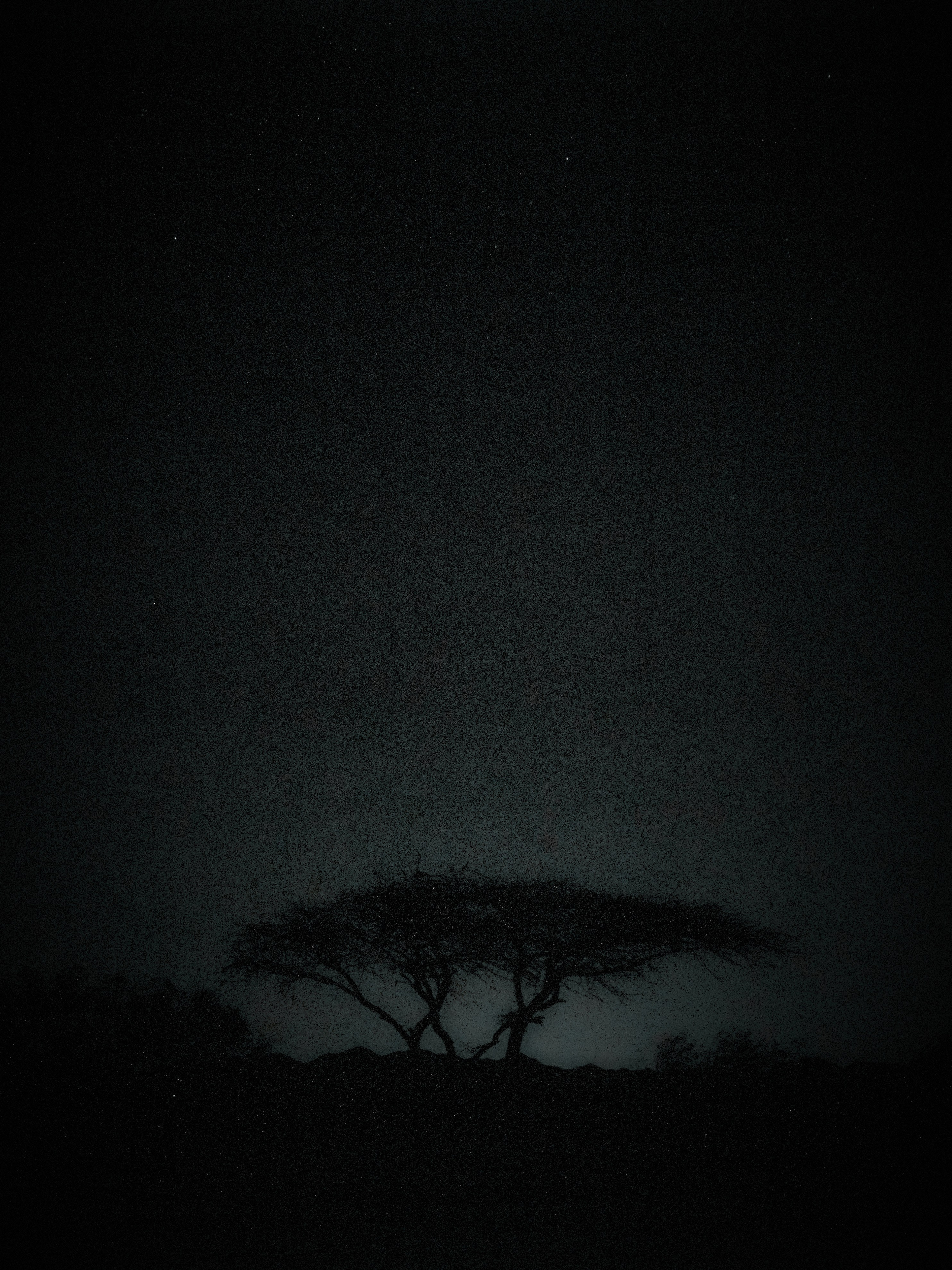 Другое 3. Jorgis Talè — photographer, kind person, teacher of arts and other mag