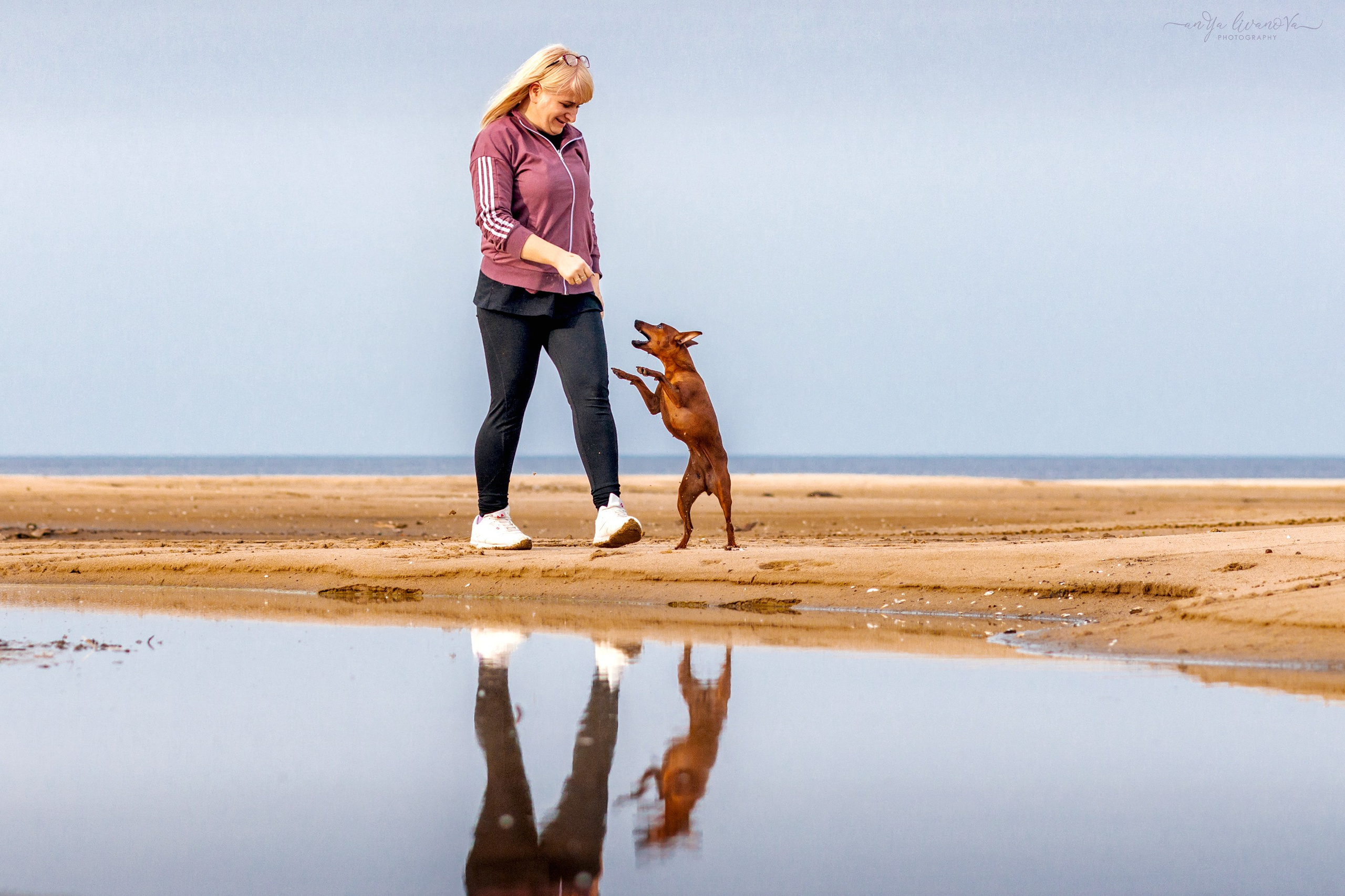Киви на берегу. Фотограф анималист Аня Ливанова | Рыбинск