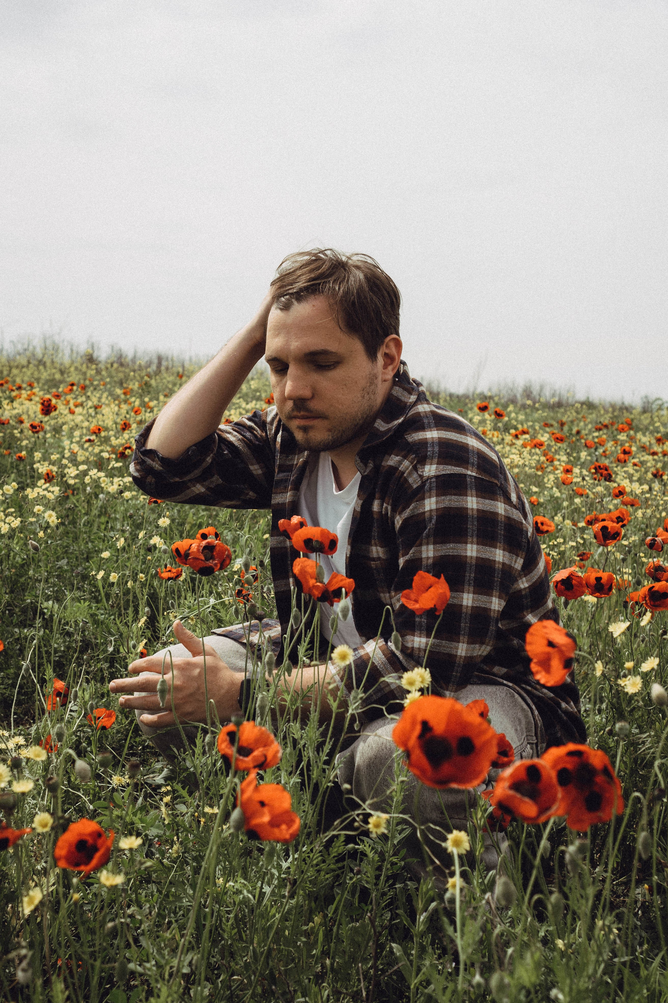 Маки. Профессиональный фотограф, Санкт-Петербург — Виктория Богомолова