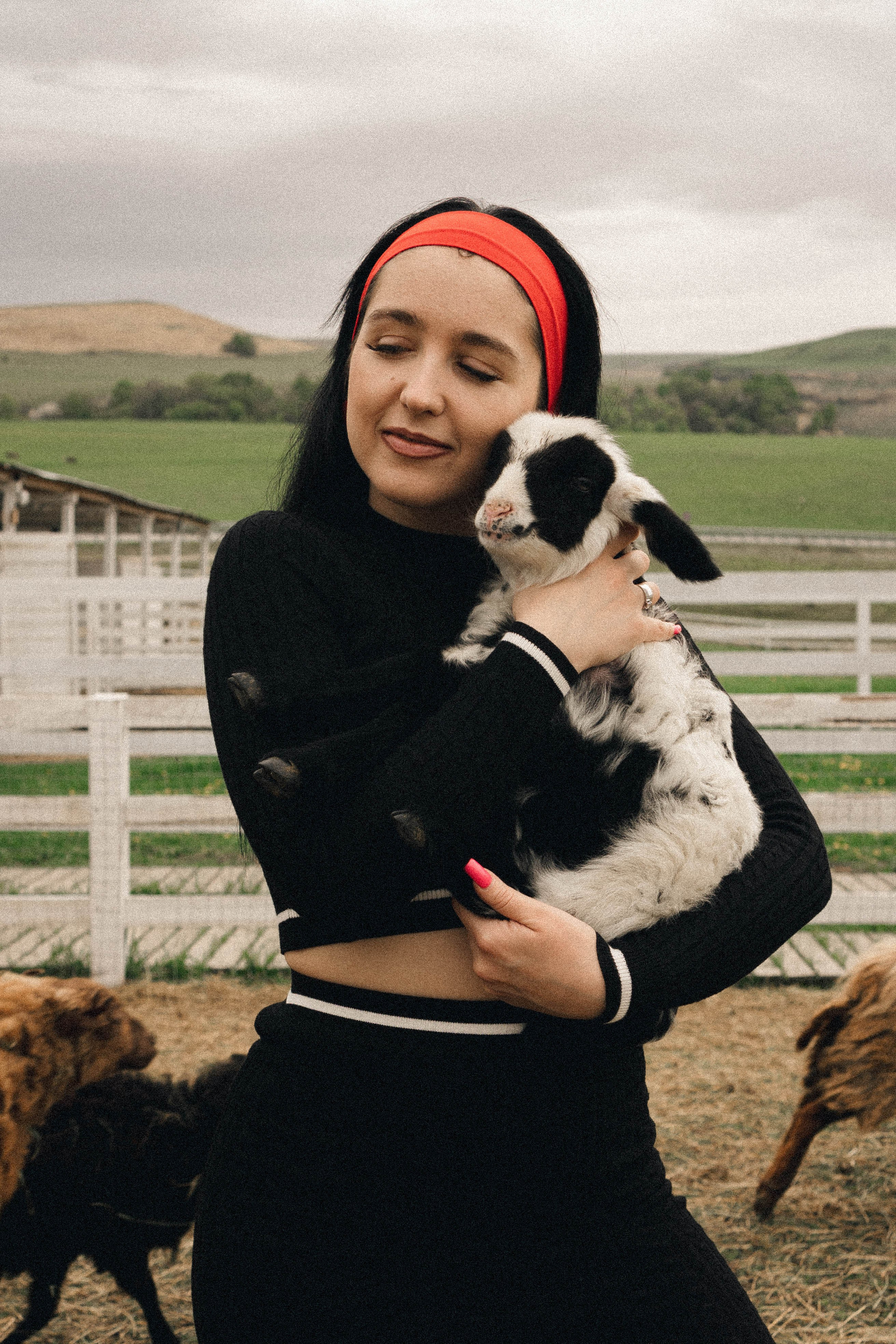 Ферма Альпак. Профессиональный фотограф, Санкт-Петербург — Виктория Богомолова