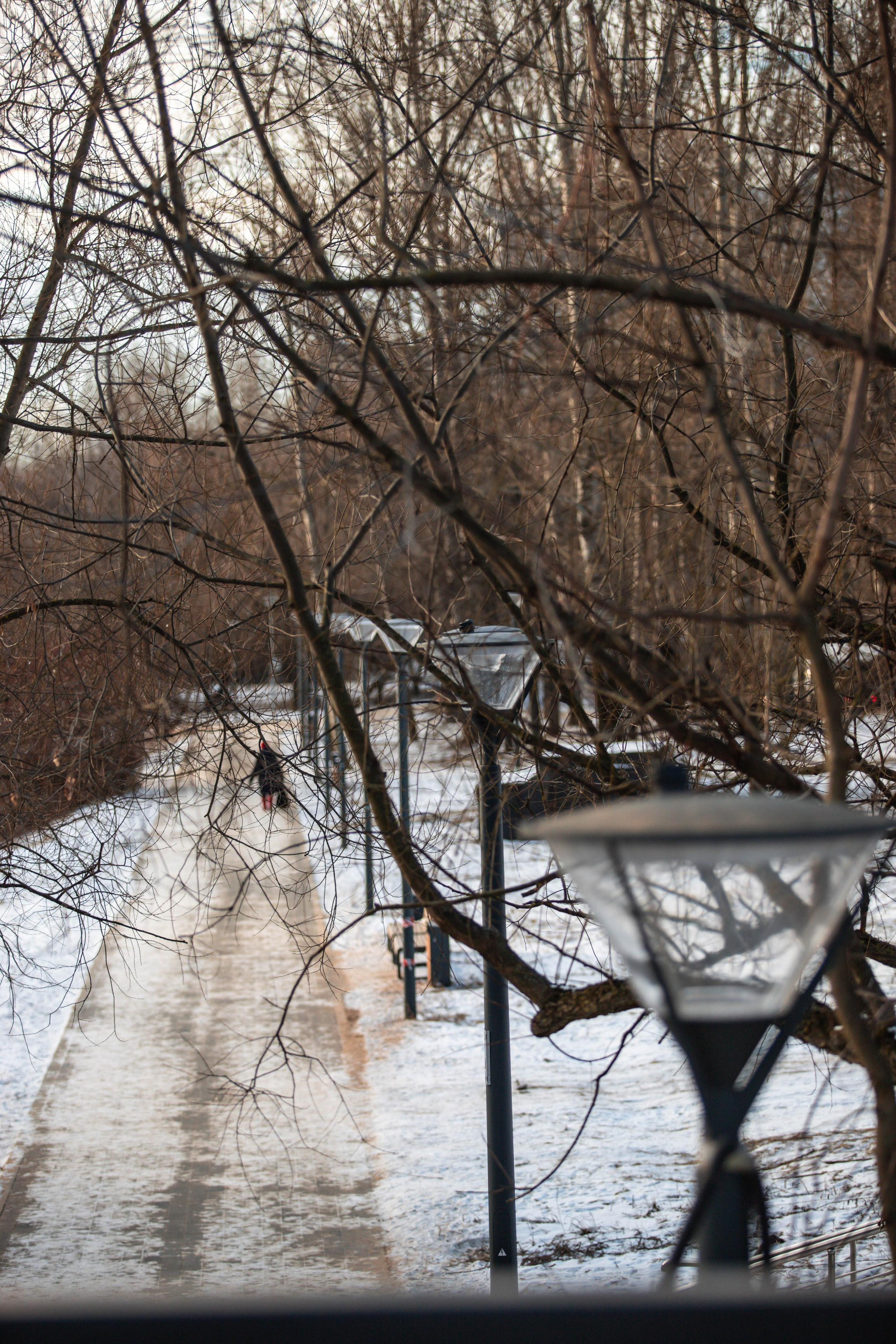 5 верст_Бабушкинская. Александра Мельниченко/ Бегающий фотограф