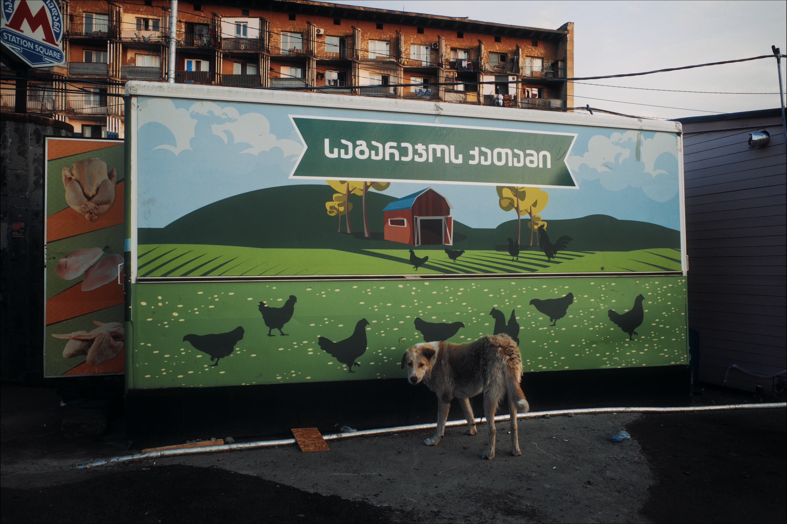 Streets of Sakartvelo p.20. Viktor Garshnep Documentary Photographer