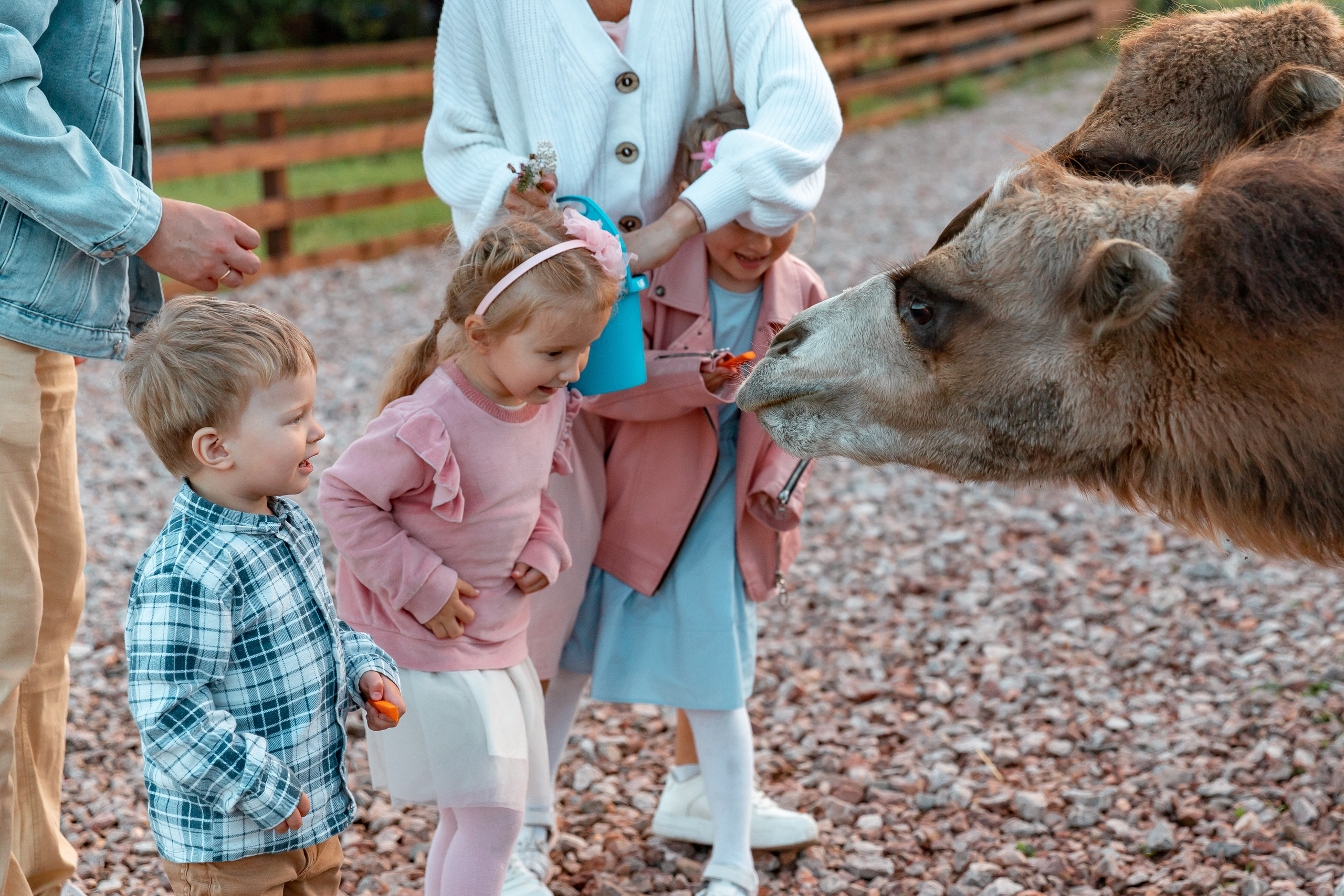 Прогулка на ранчо. Детский и семейный фотограф в Красноярске Юлия Бирюкова