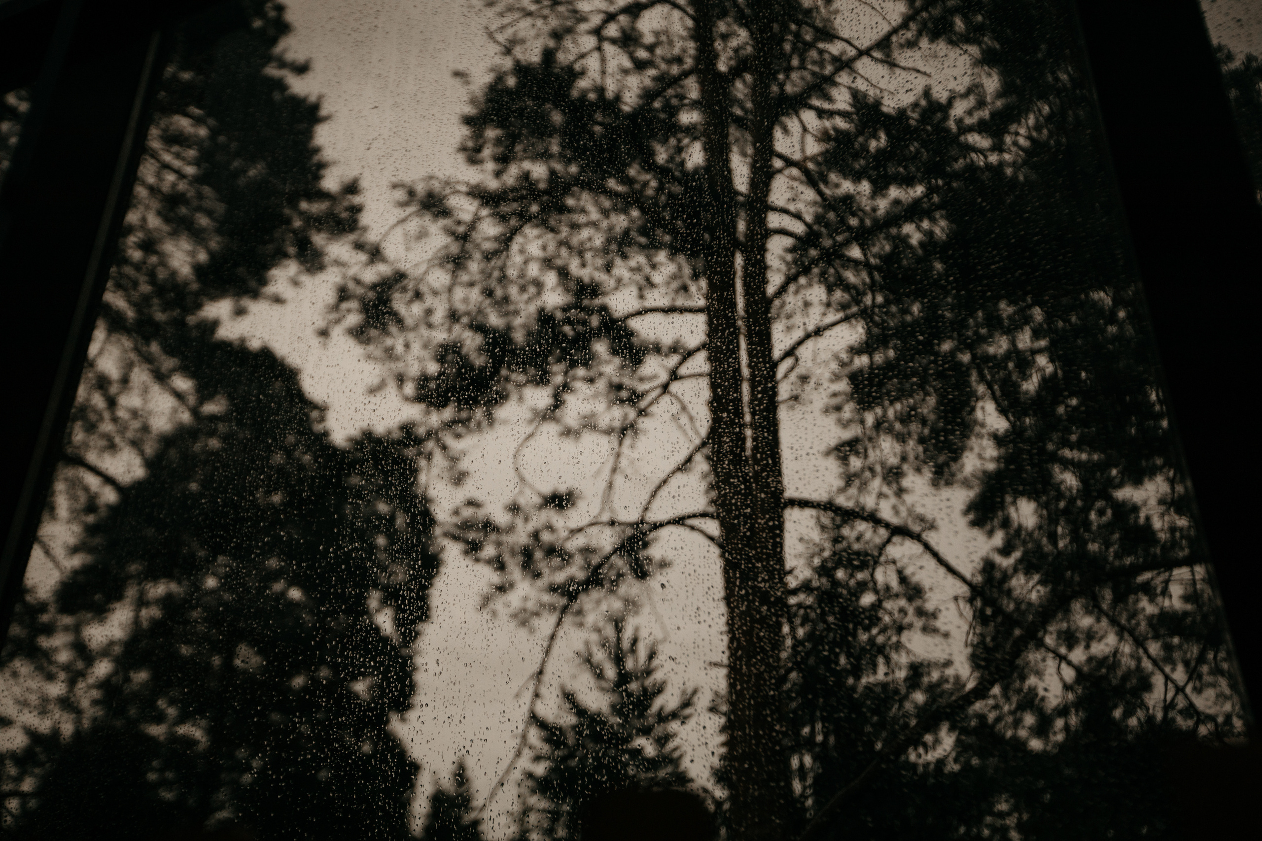 I|A. Свадебный фотограф Таня Караисаева