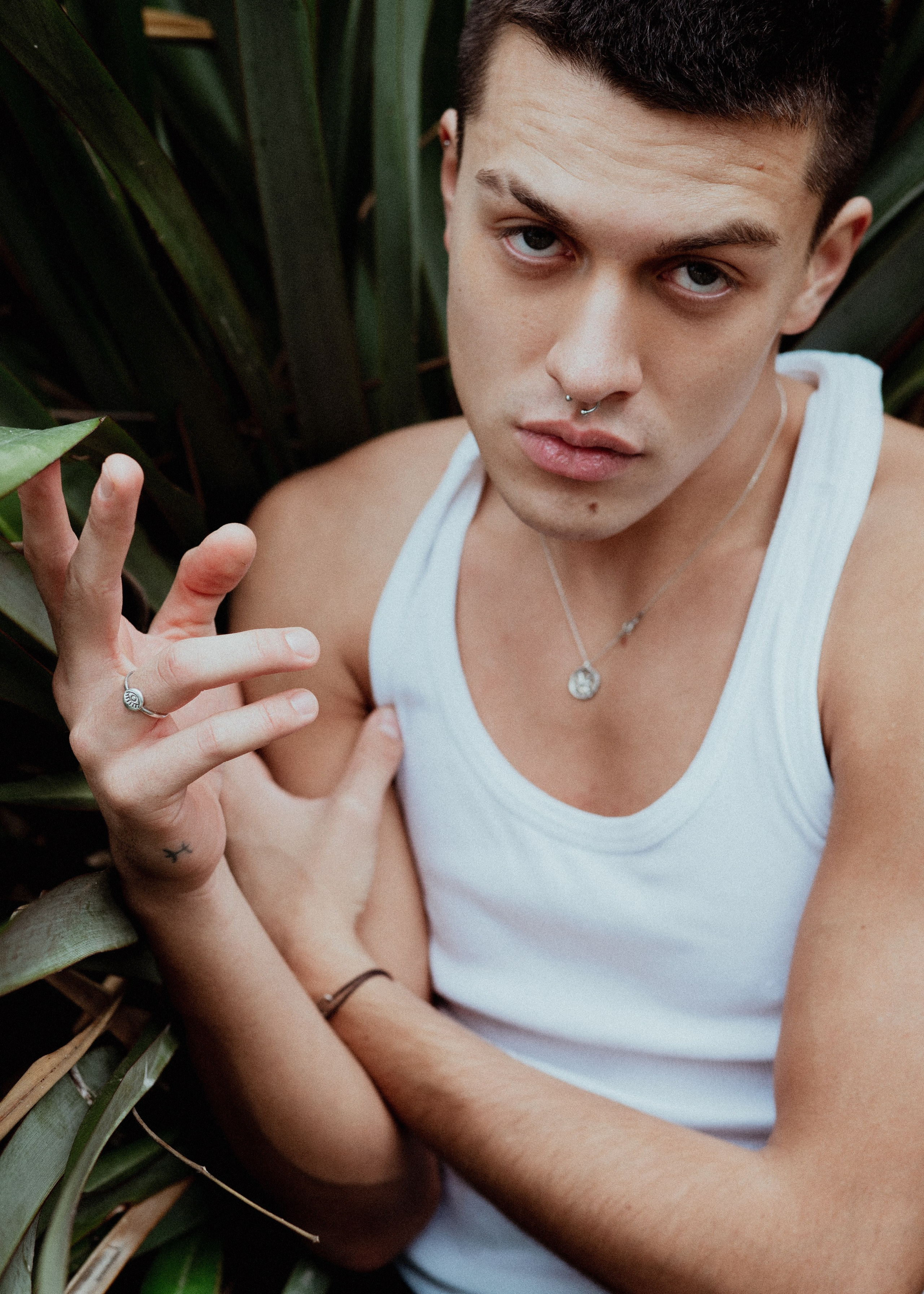 Insaf. Главная