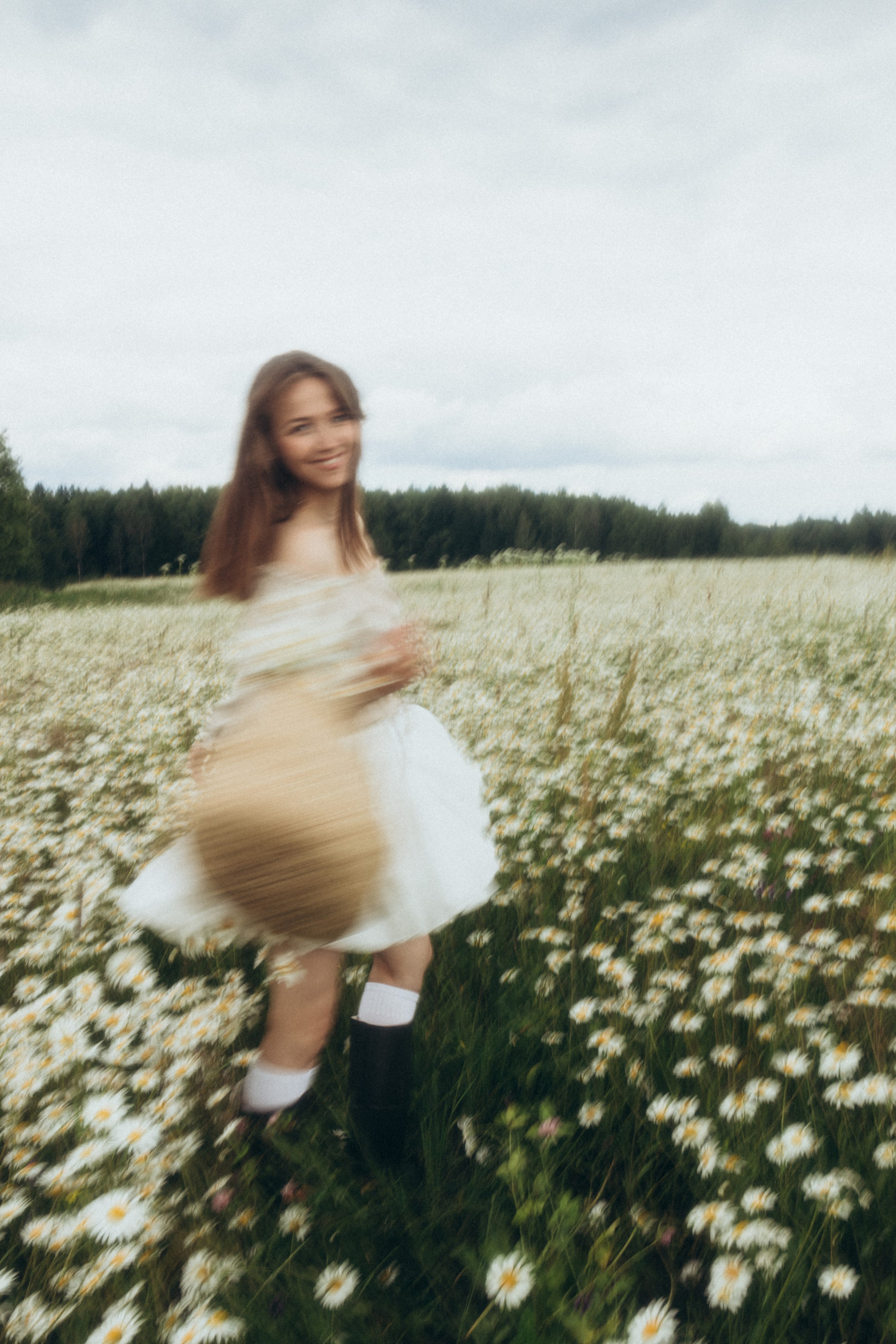 Ромашковое море. Фотограф Валерия Ковпак. Москва. Химки. Куркино