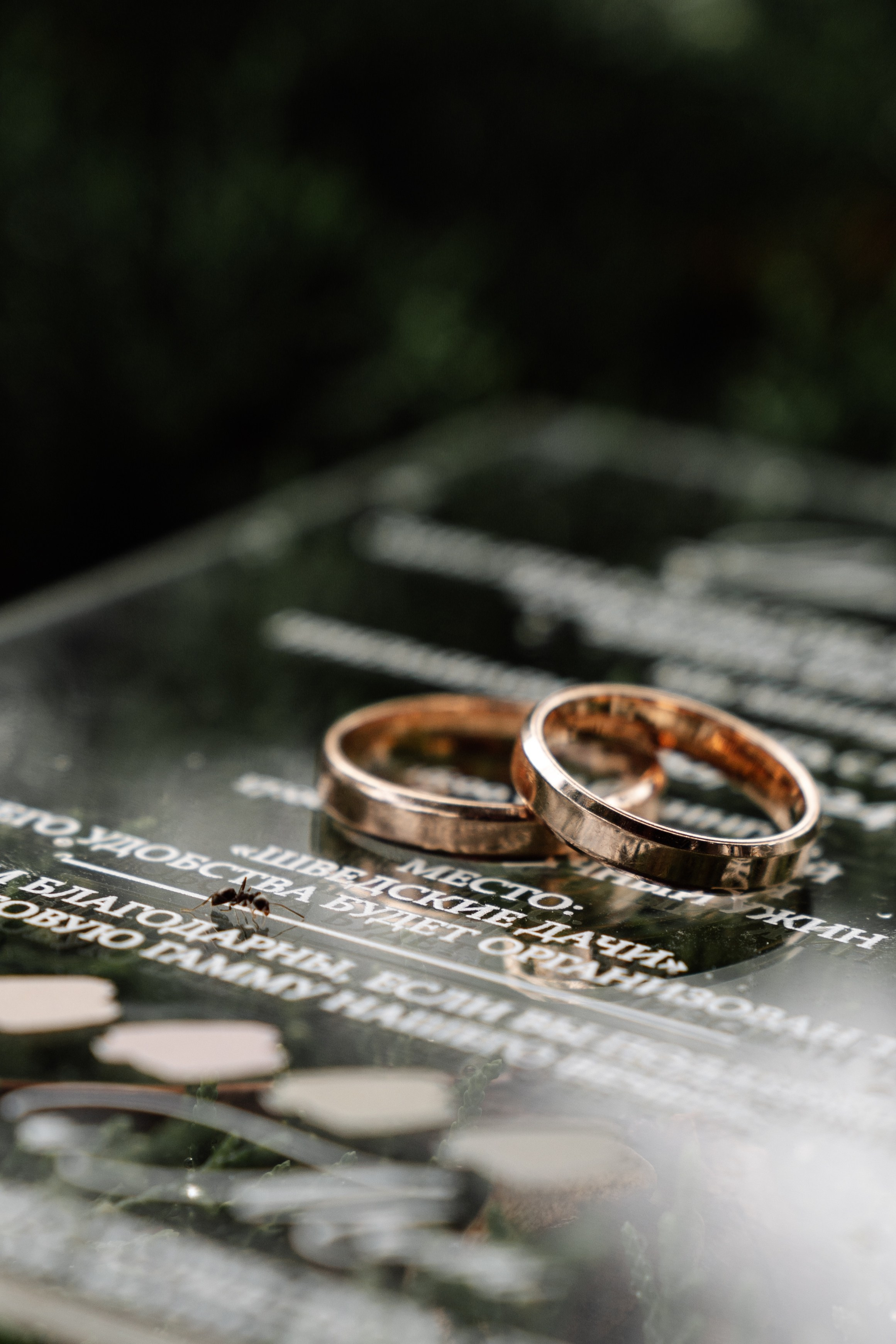 Свадебный фотограф и видеограф в Тольятти, Самаре и Москве — Арзу Магеррамов