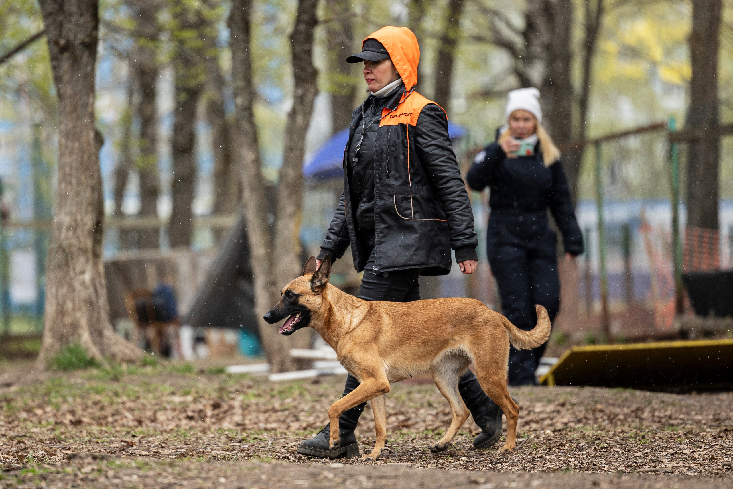 Квалификационные состязания по мондьорингу г. Вологда 11.05.24. Фотограф-анималист Анна Маринич