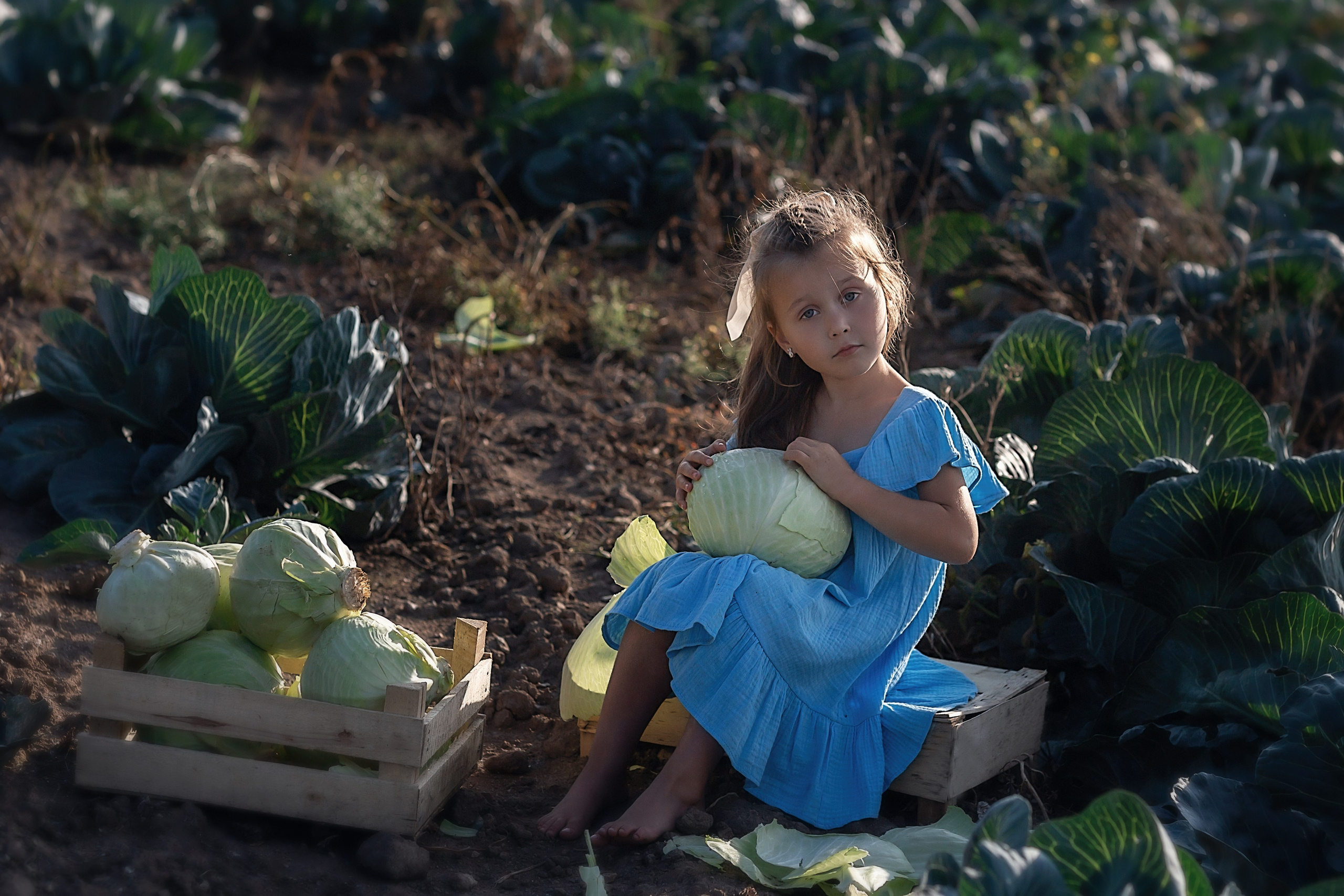 Капустное поле_Ленинградская область. Семейный фотограф в Санкт-Петербурге
