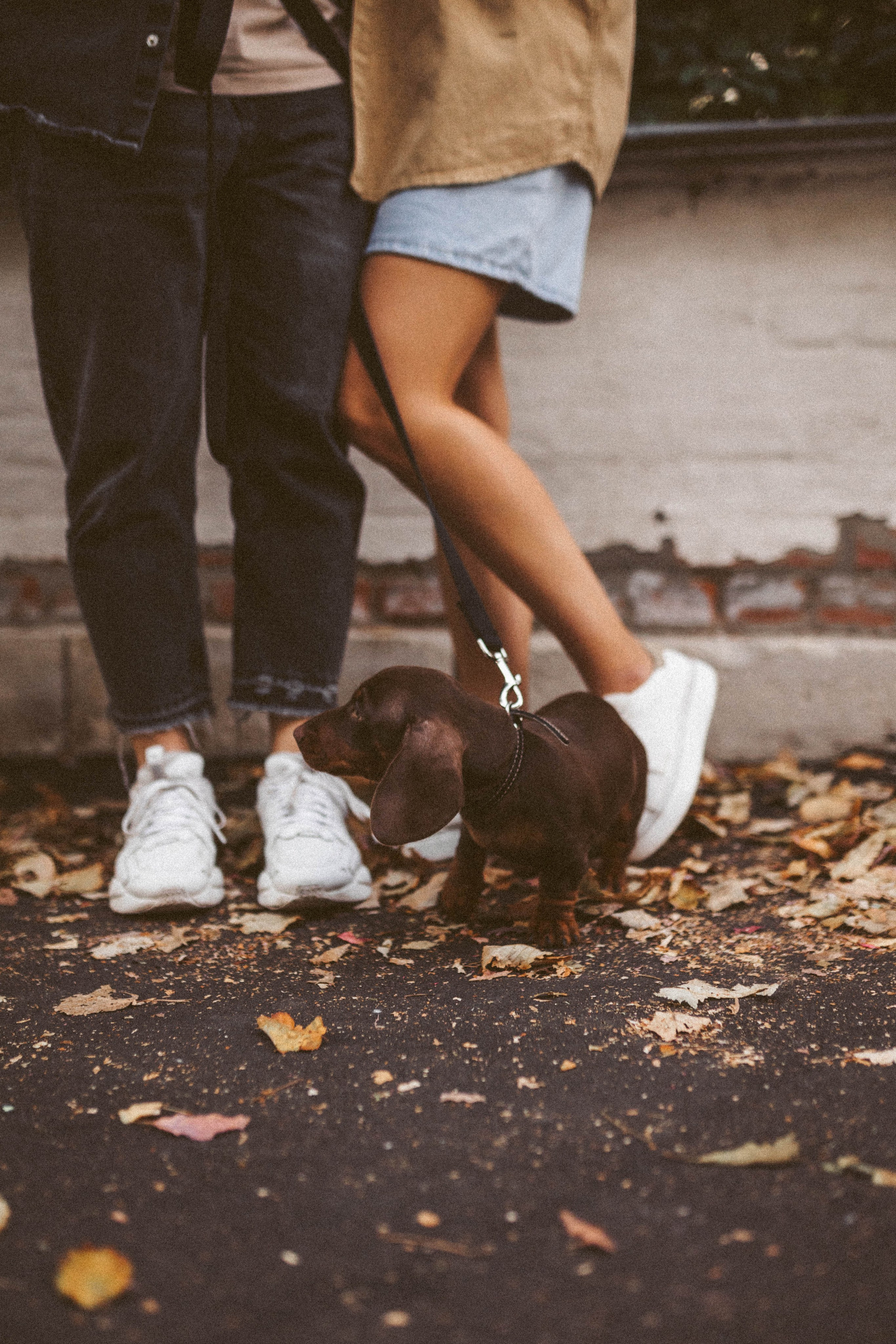 Руслан/Вика/Велес. Фотограф в Москве Татьяна Сергеева