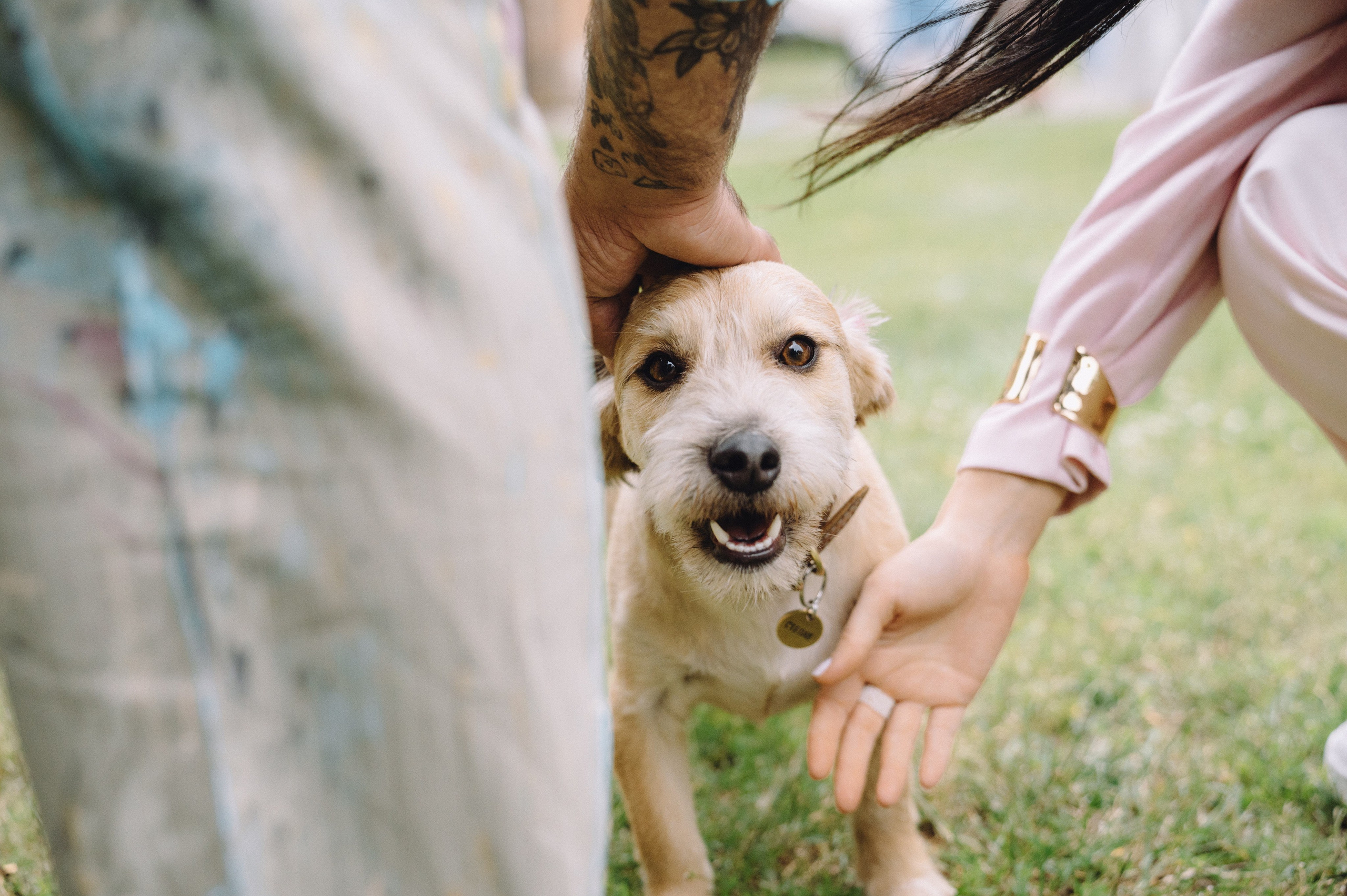 Слава и Даша. Профессиональный фотограф Алексей Васенцев. Минск, СПБ, Москва